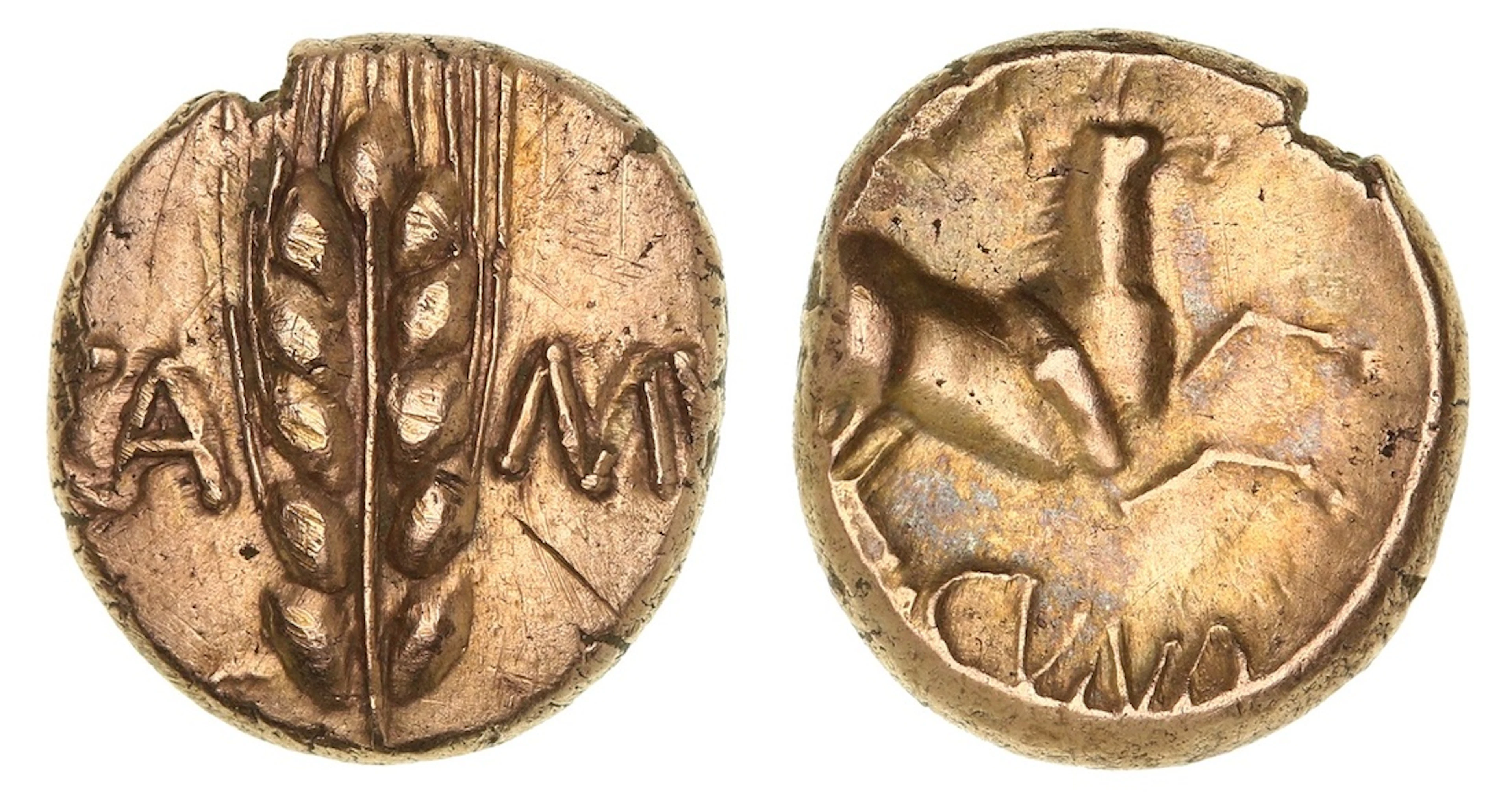 Iron Age Britain, Catuvellauni, Cunobelin (AD 9-40), AV Stater, 'Wild