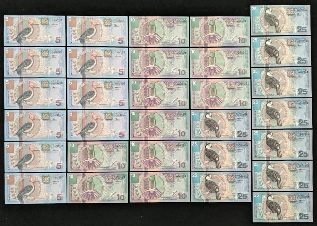 Centrale Bank van Suriname, a group of 2000 issues (31), including