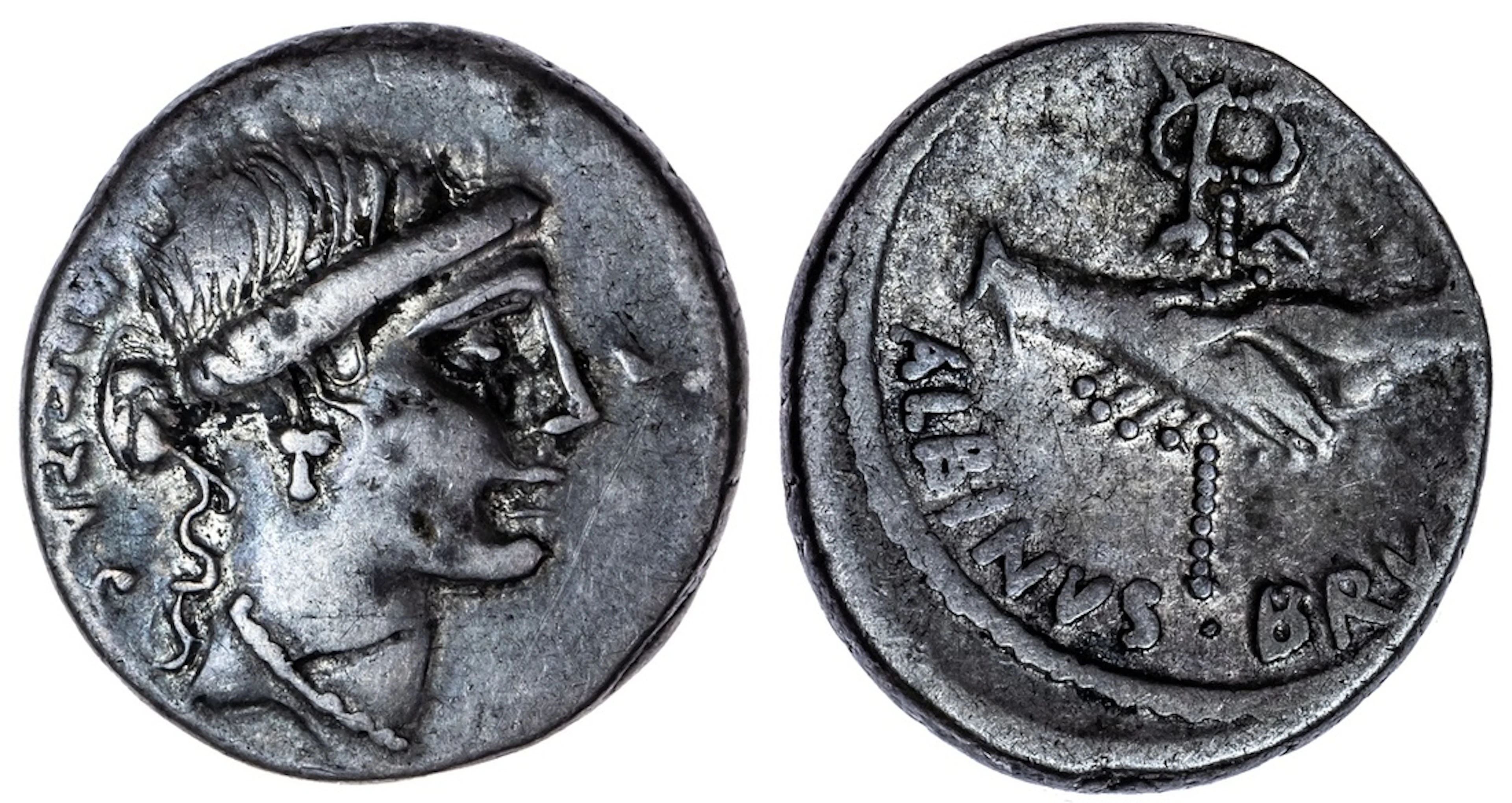 Roman Republic, Decimus Postumius Albinus Bruti f., AR Denarius, struck