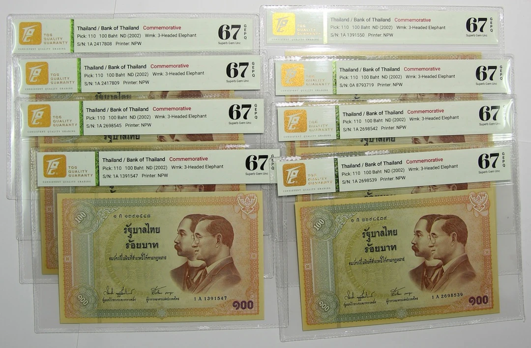 Bank of Thailand, commemorative 100 baht (8), ND (2002), (Pick 110)