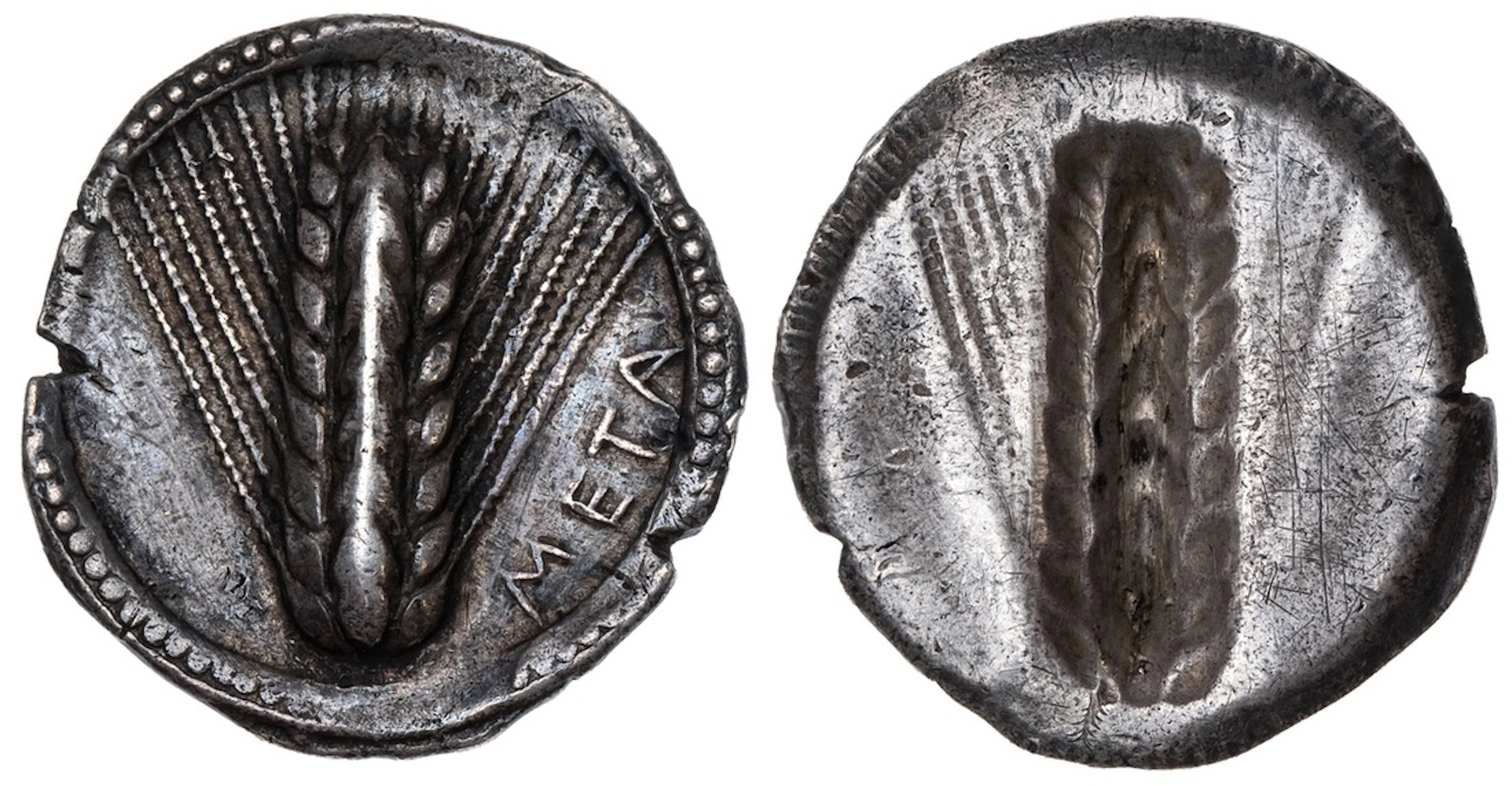 Lucania, Metapontum, AR Stater, struck c. 540-510 BC, META, barley