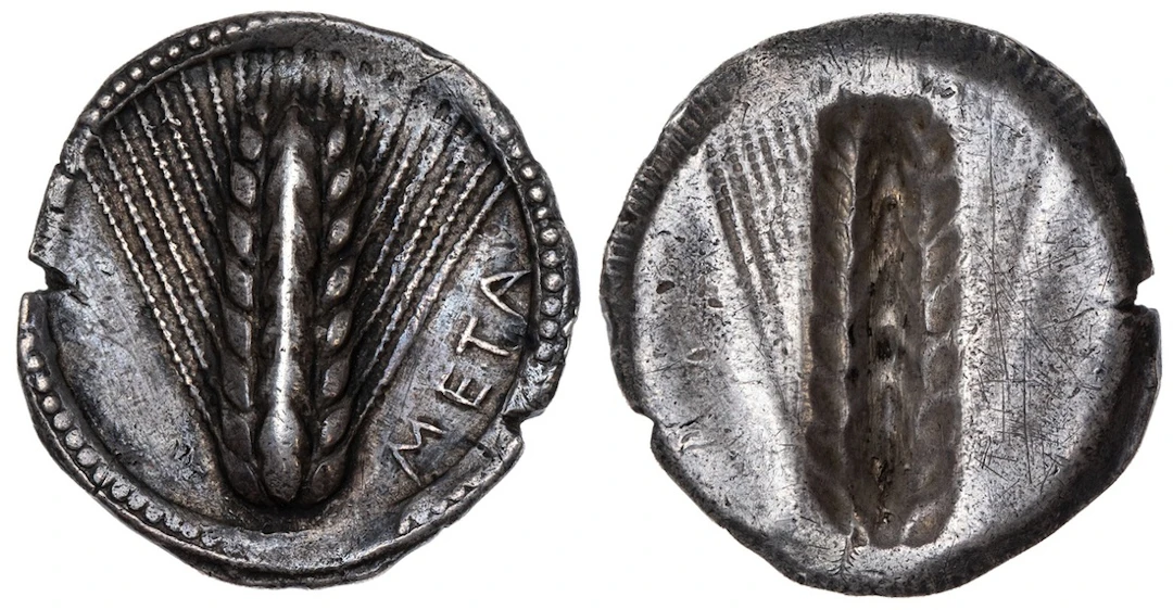 Lucania, Metapontum, AR Stater, struck c. 540-510 BC, META, barley