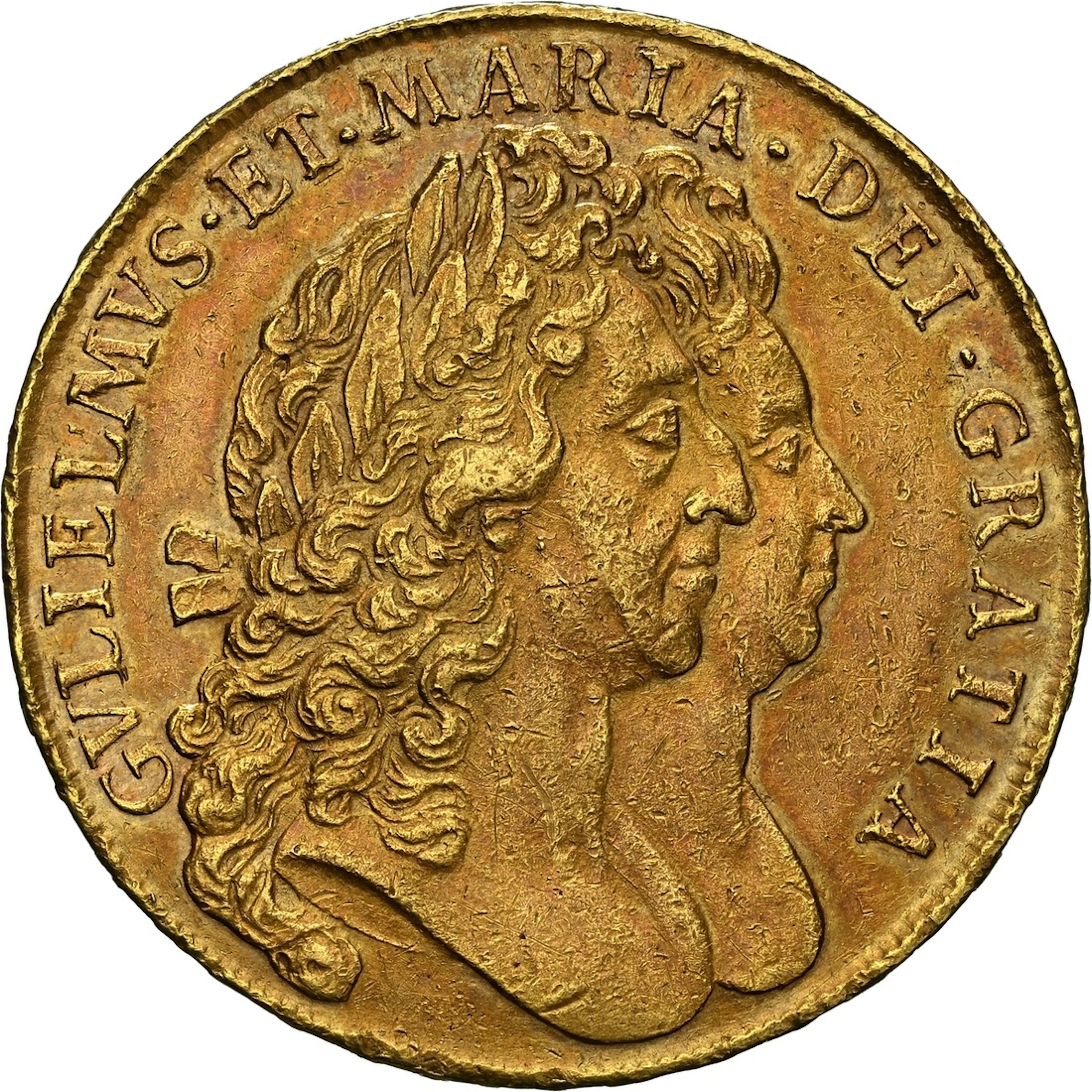 William and Mary (1688-1694), Five-Guineas, 1691 TERTIO