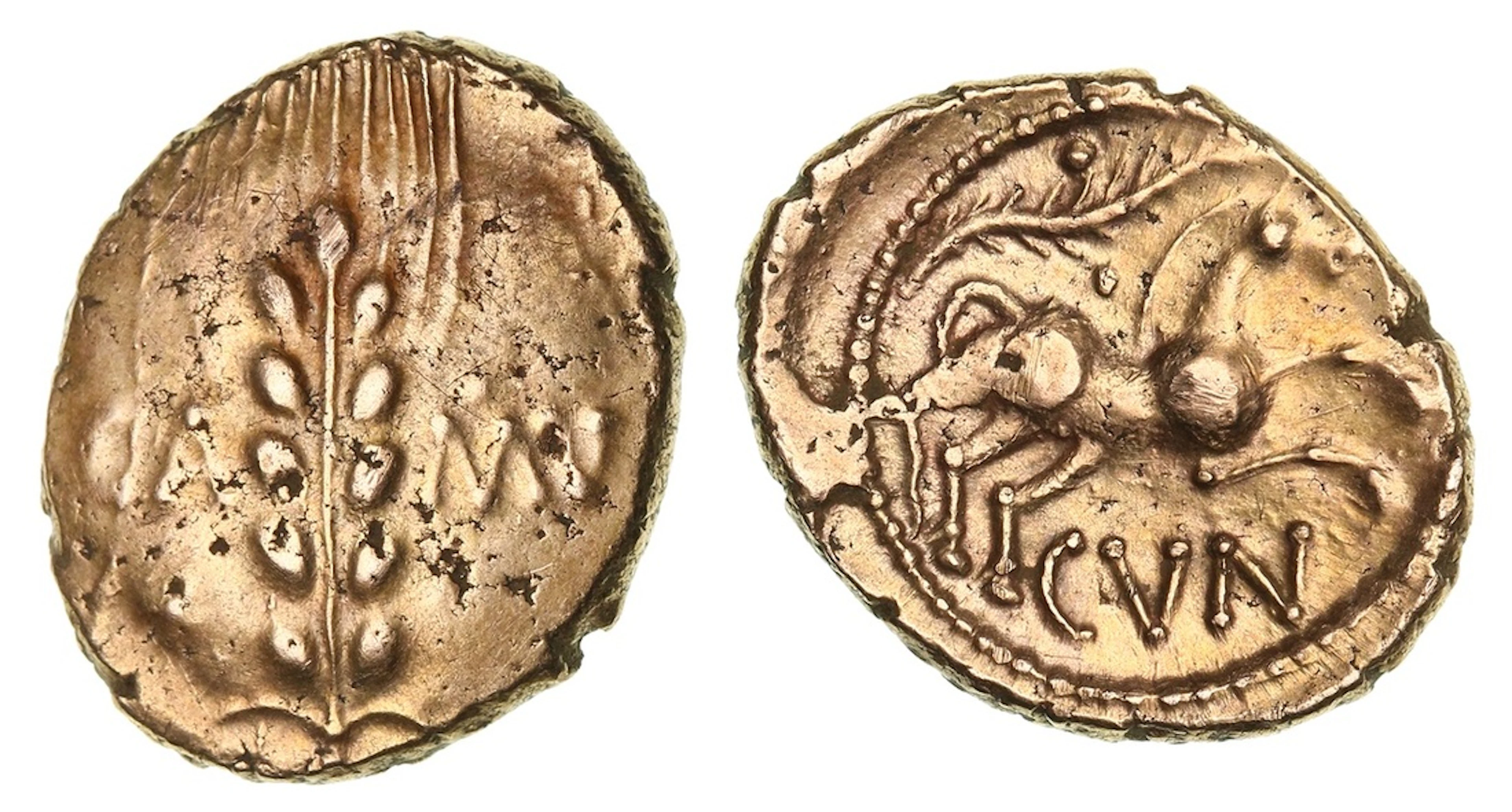 Iron Age Britain, Catuvellauni, Cunobelin (AD 9-40), AV Stater, 'Linear'
