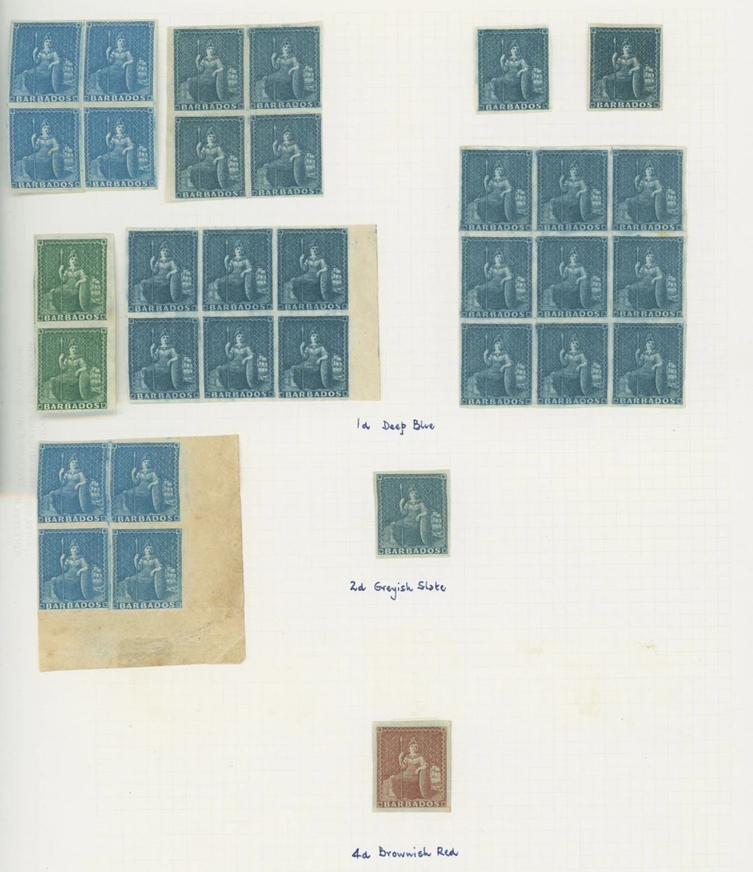 Barbados Britannia Issues 1852-55 blued paper, imperf (½d.) deep green