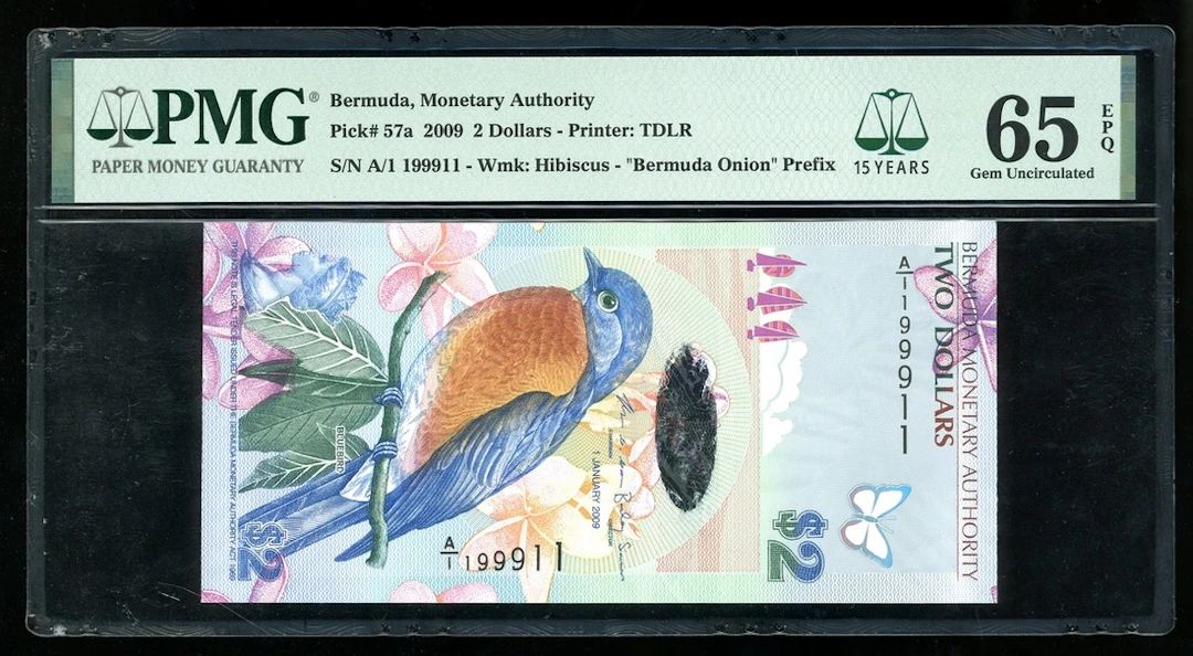 Bermuda Monetary Authority, $2, 2009, serial number A/1 199911, (Pick