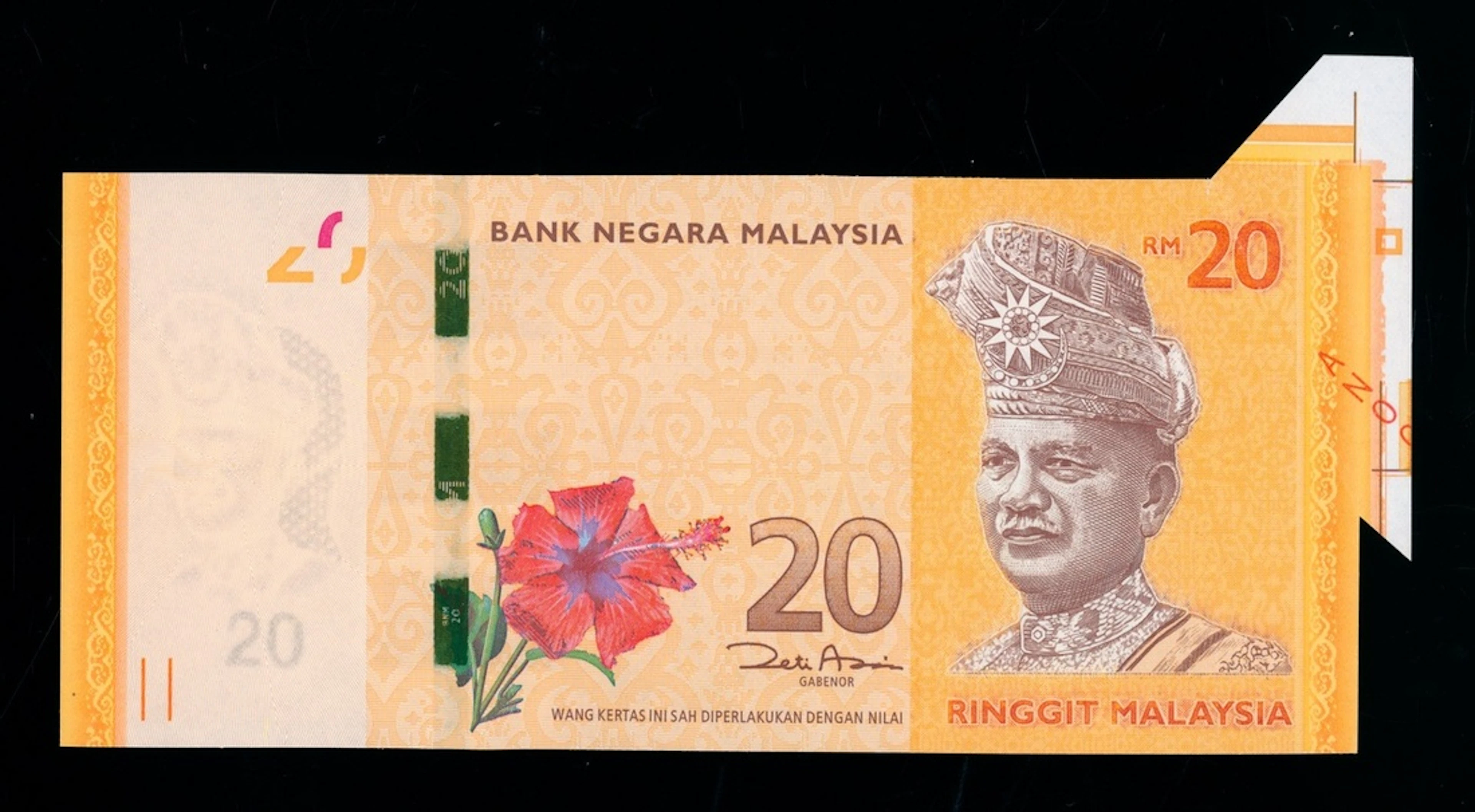 Bank Negara Malaysia, ERROR 20 ringgit, ND (2012), serial number AN0040433