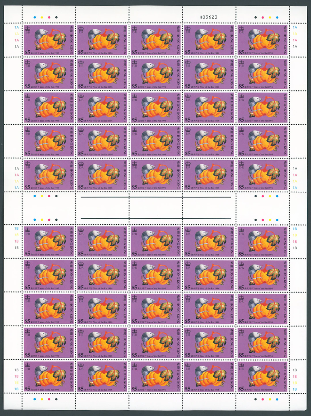 Hong Kong Collection and Ranges