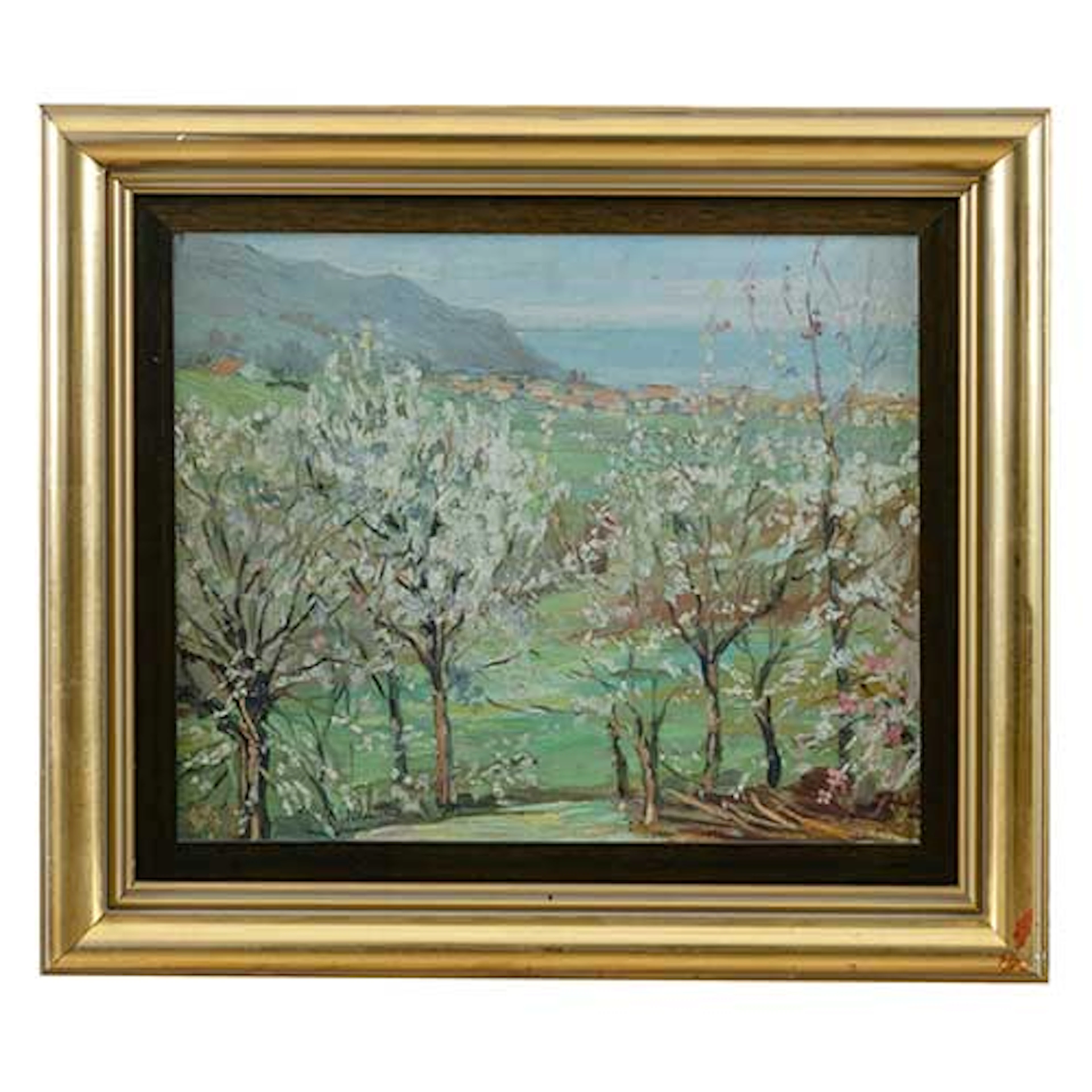 Vista de Zarauz con almendros