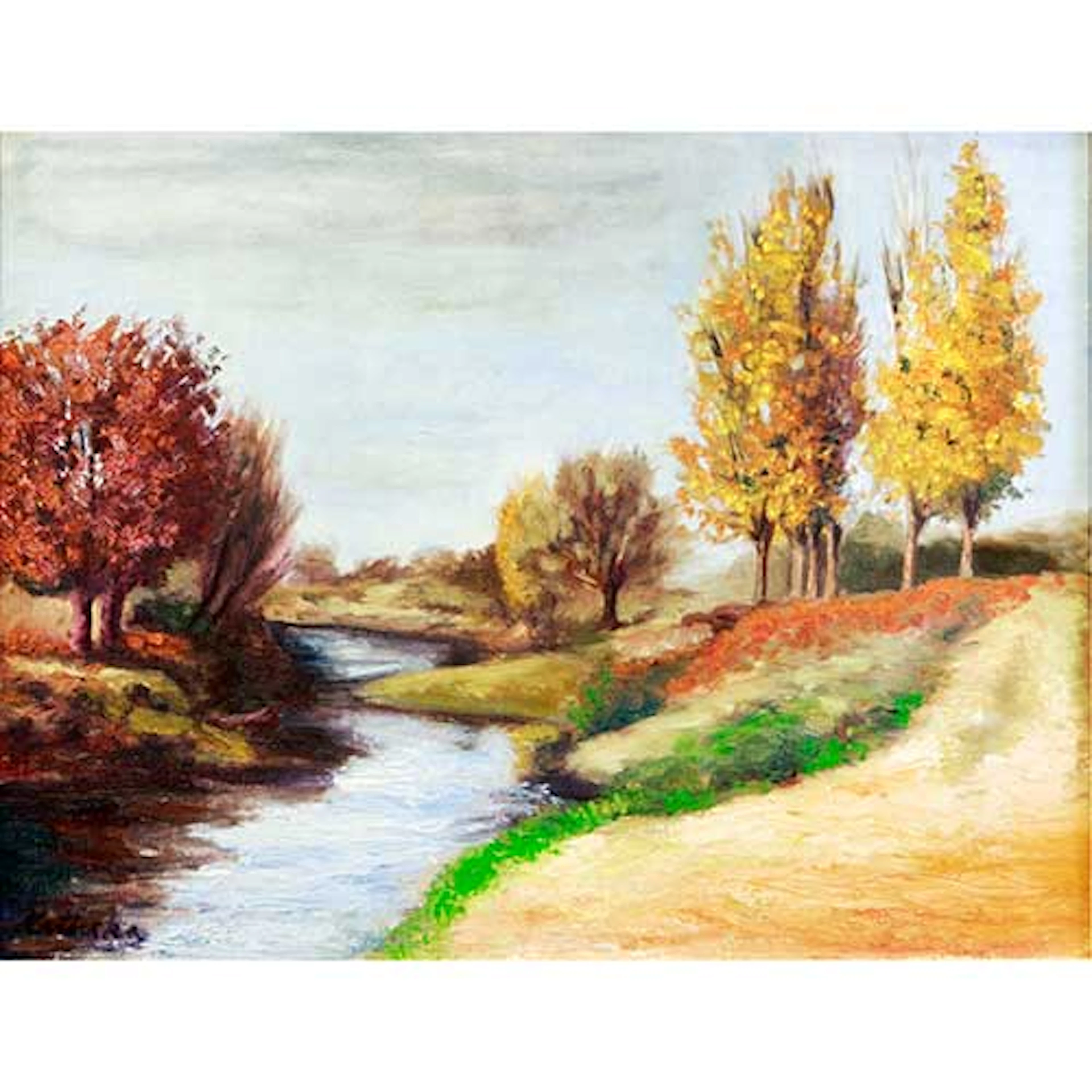 Paisaje fluvial