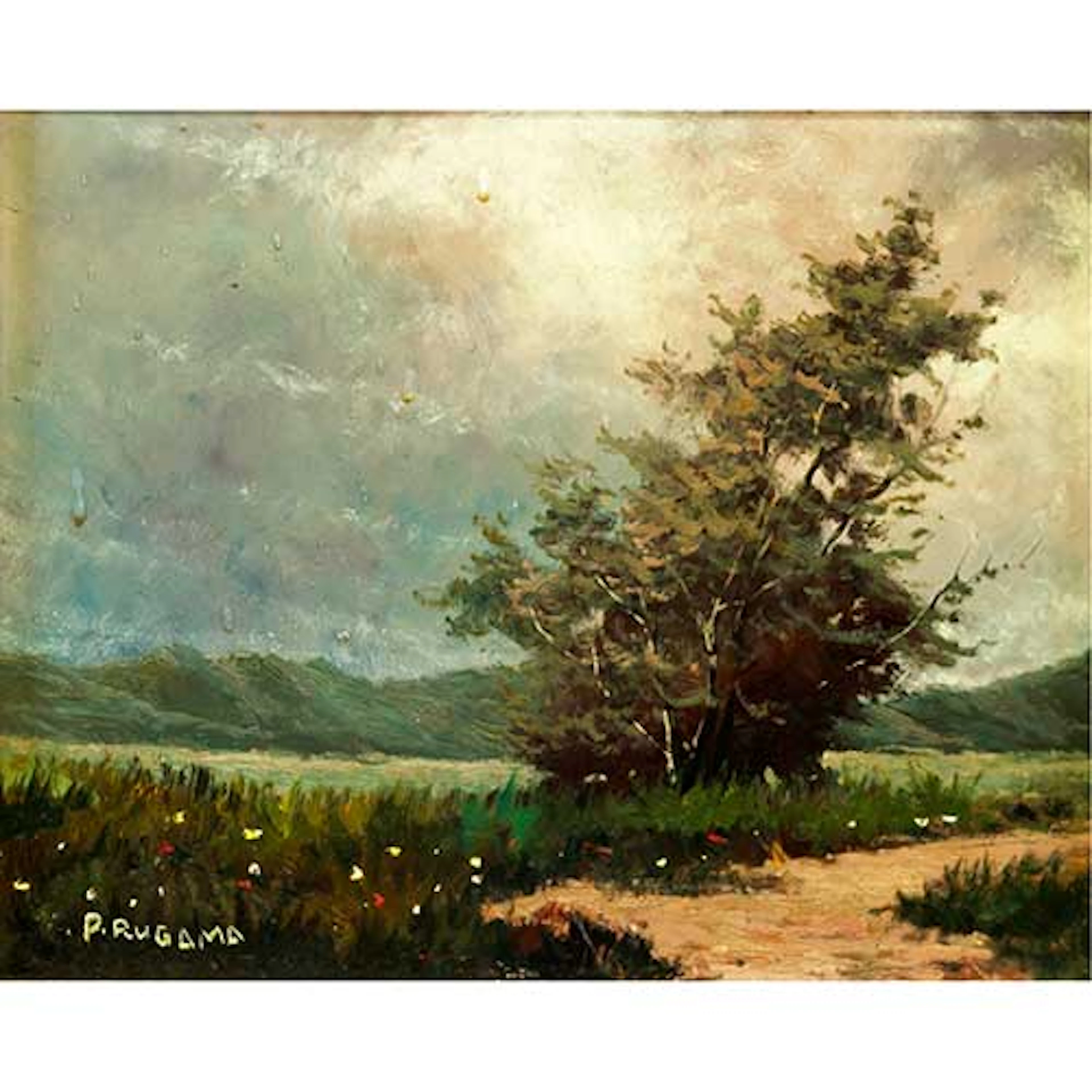 Paisaje