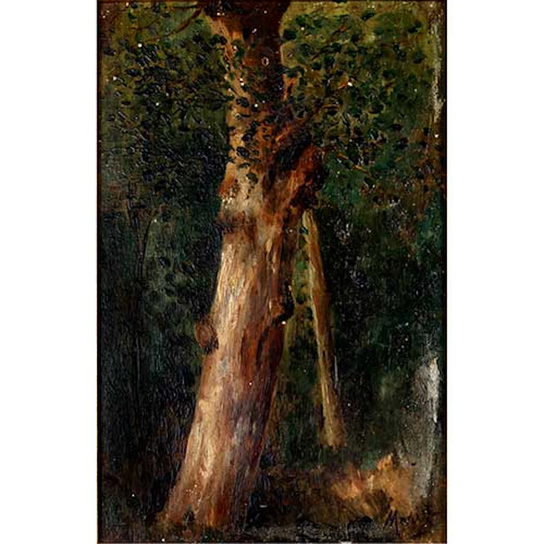 Bosque