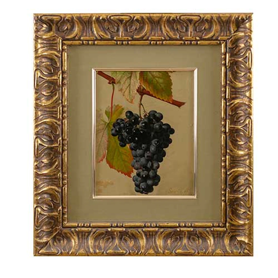 Racimo de uvas