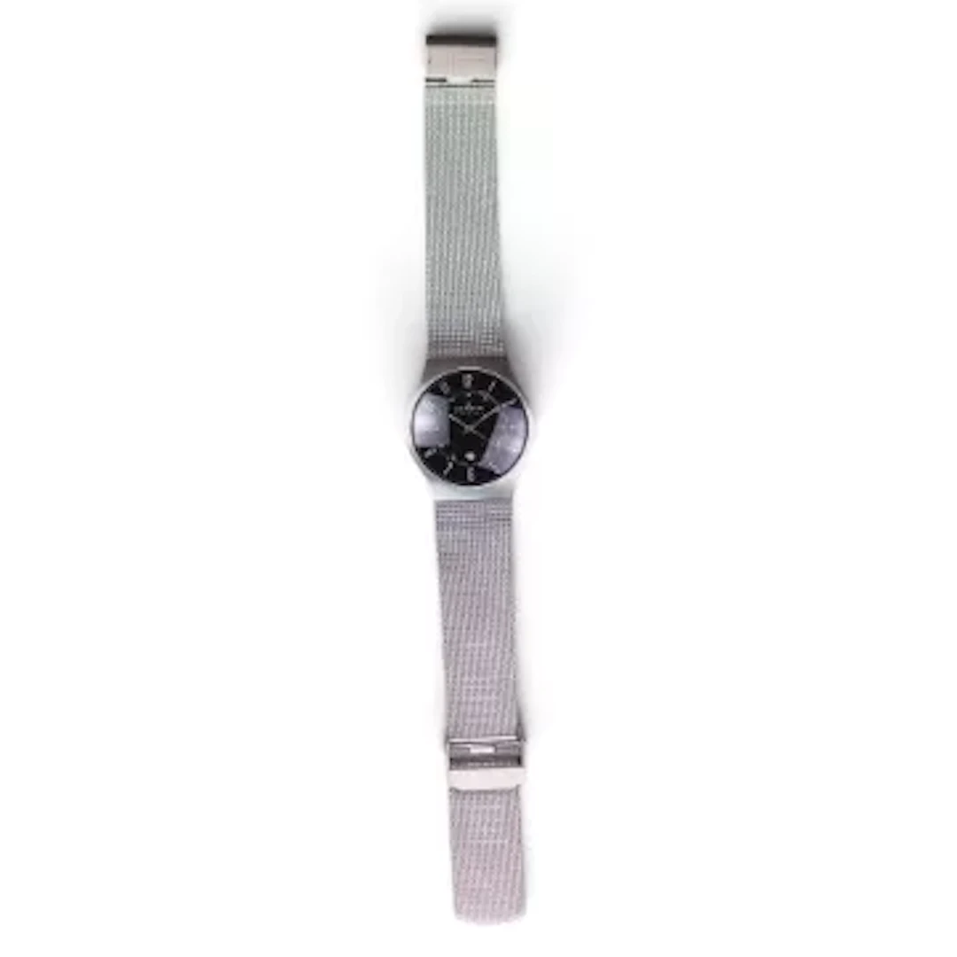 Skagen of Denmark stainless steel gentleman's wristwatch and bracelet.