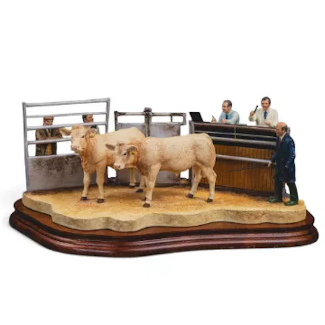 Border Fine Arts, Under the Hammer, Charolais Cross model B0666B by