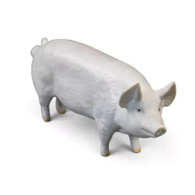 Beswick Boar "Wall Champion Boy 53rd" in white matt. Model 1453A. h.7cm