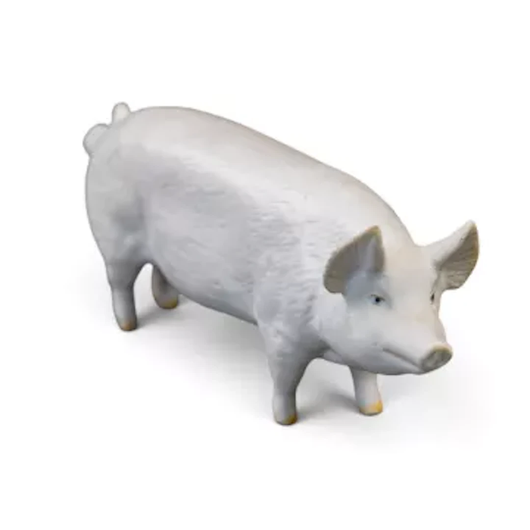 Beswick Boar "Wall Champion Boy 53rd" in white matt. Model 1453A. h.7cm
