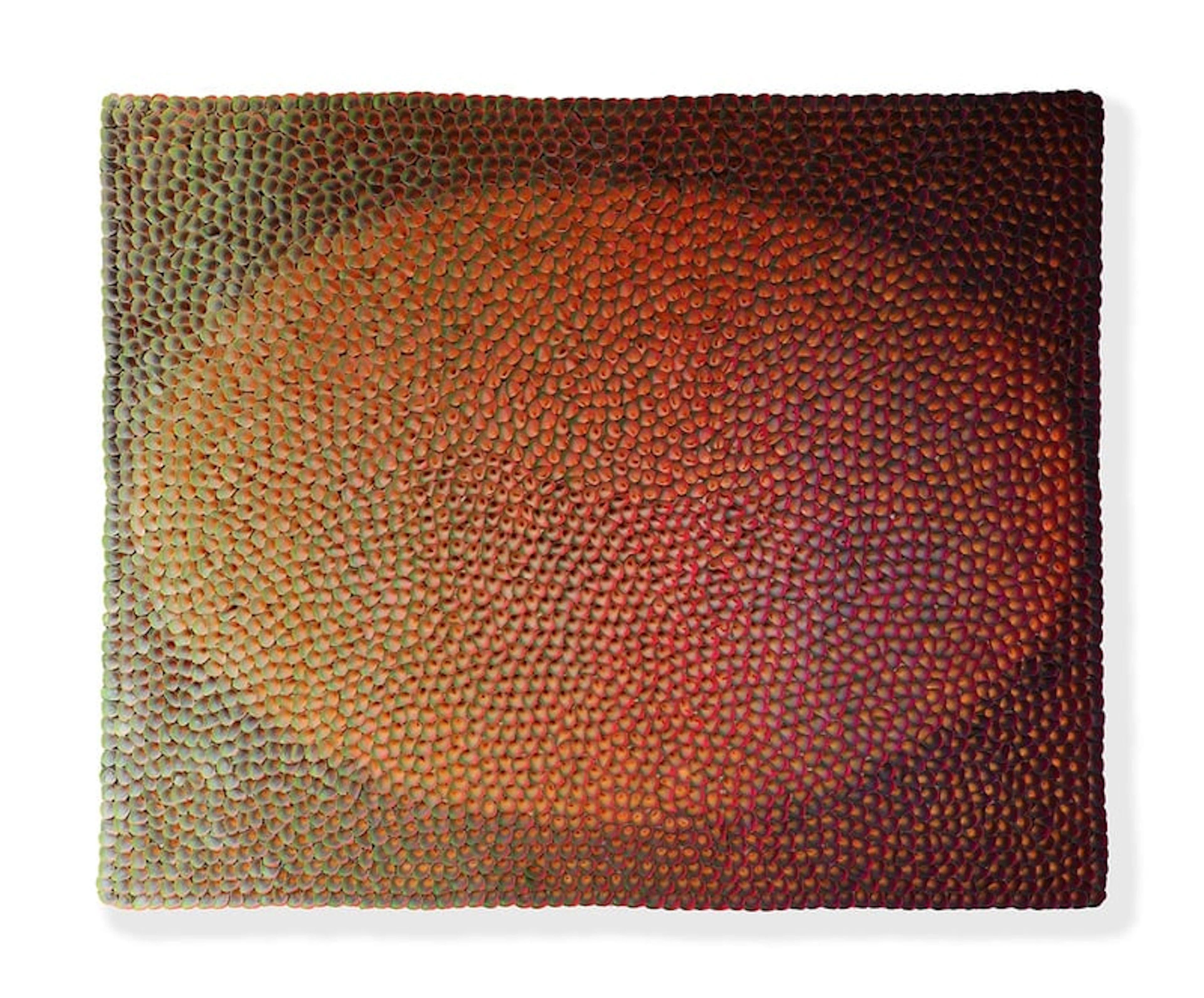 Hong Yi Zhuang - Optical Artist - 18-VI-044