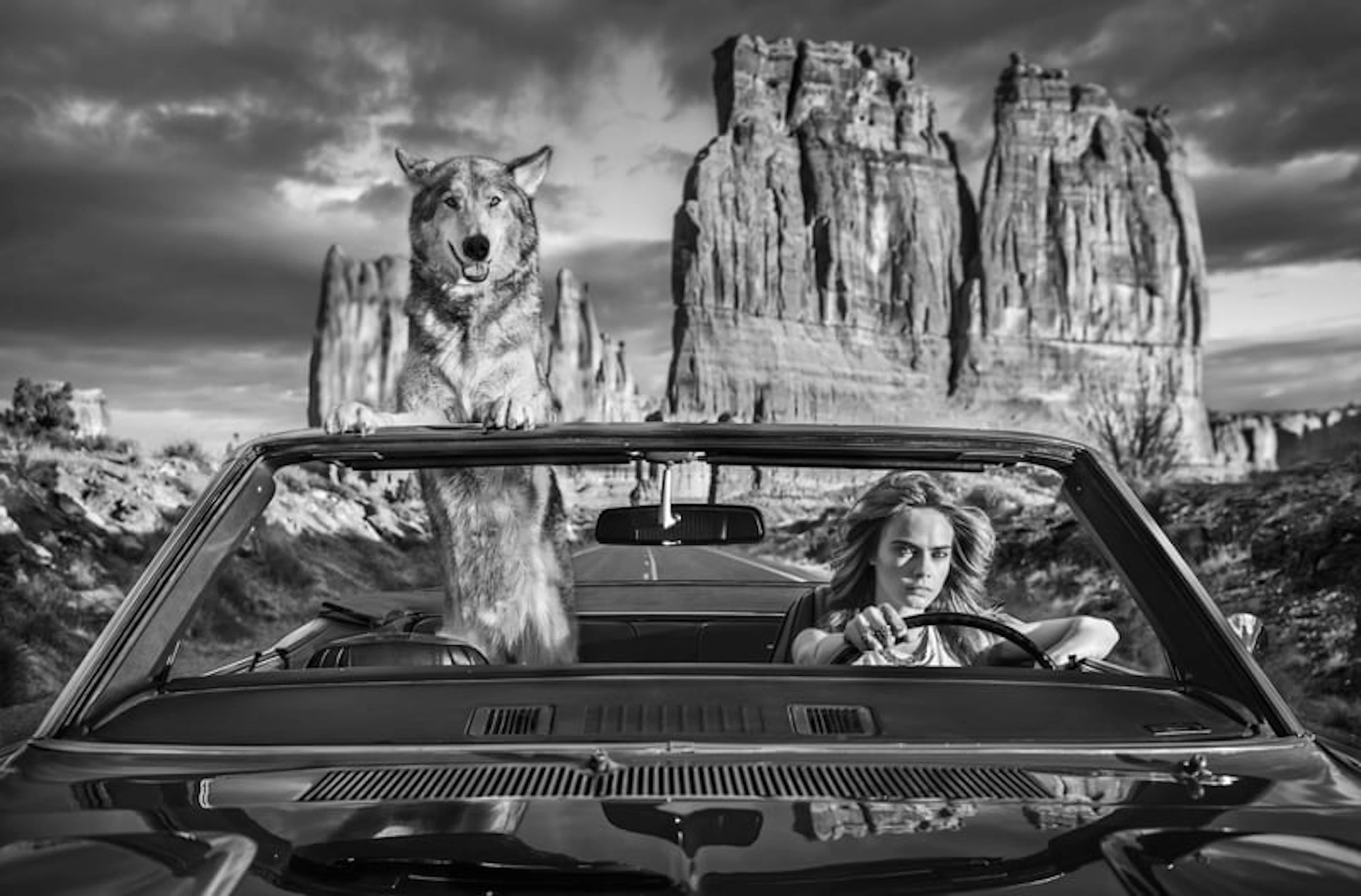 David Yarrow - Contemporary Photographer - Drive (B&W)