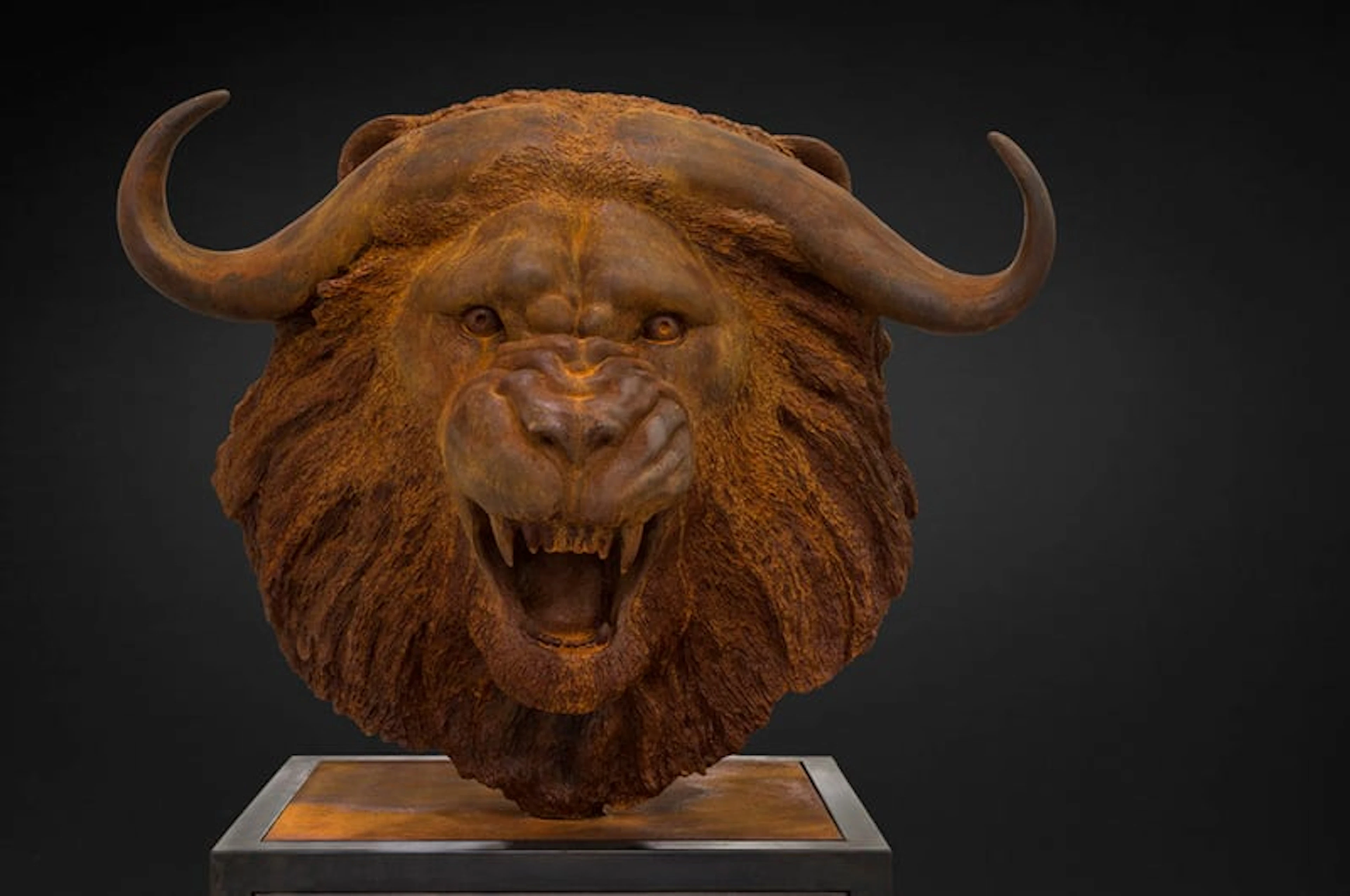 Mauro CORDA - Tête lion-buffle