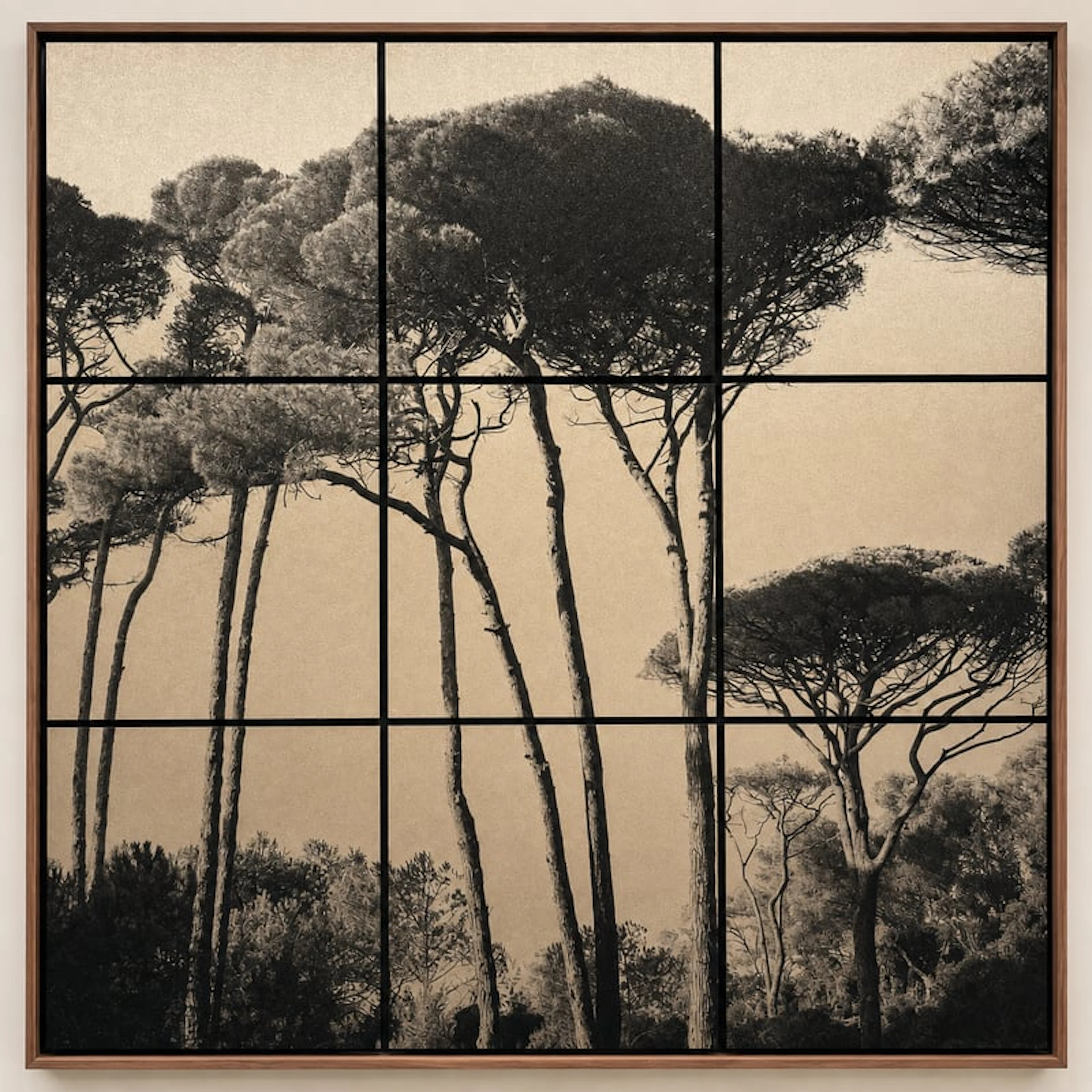 Anne Valverde - Contemporary Photographer - Mori de Sanpo ( Pins )