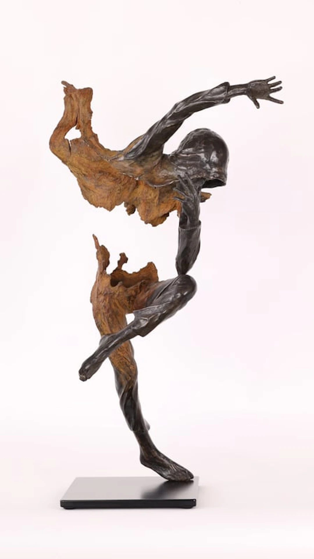 Romain Tiercin – Contemporary Sculptor Working with Wood and Bronze