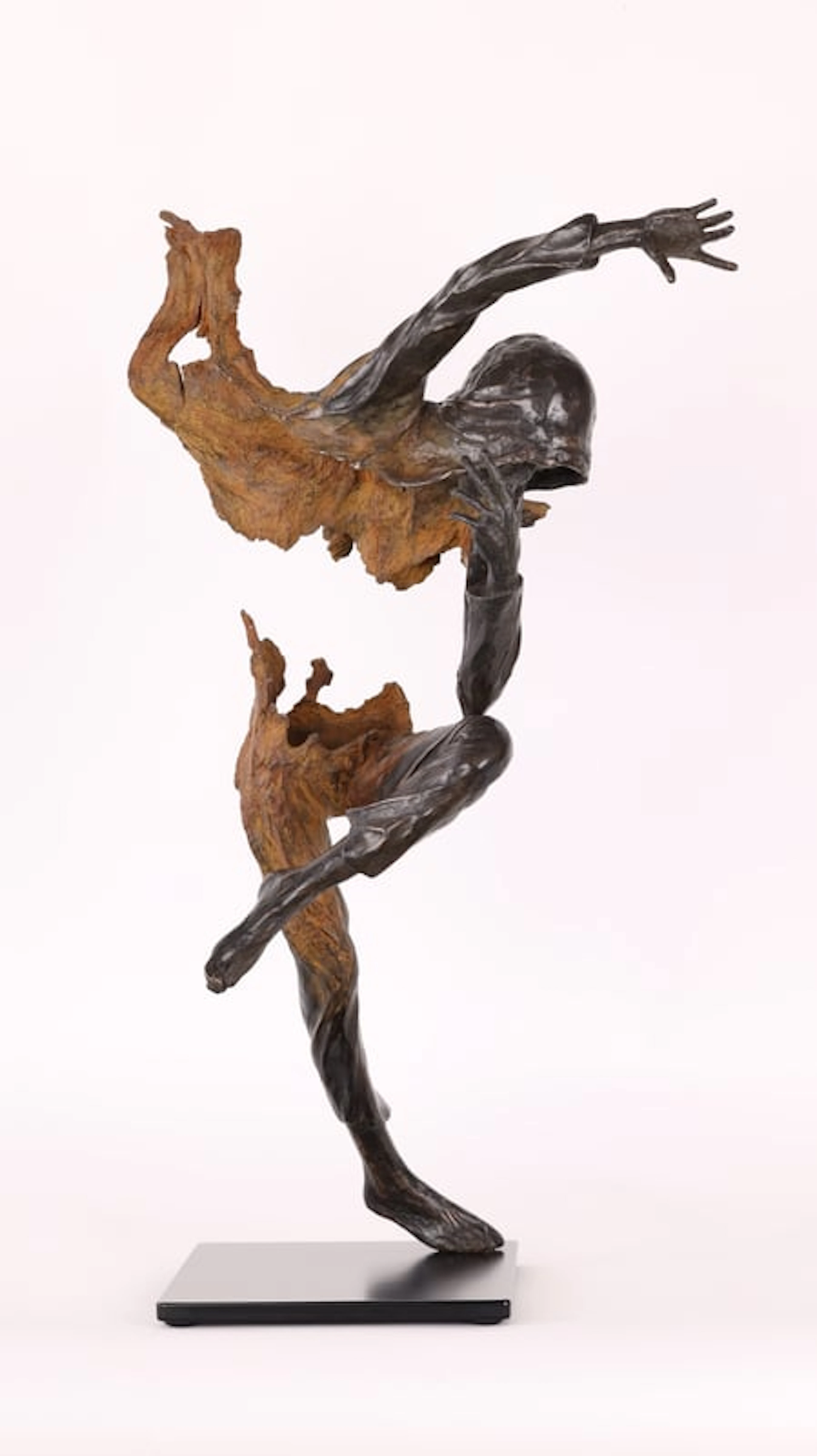 Romain Tiercin – Contemporary Sculptor Working with Wood and Bronze