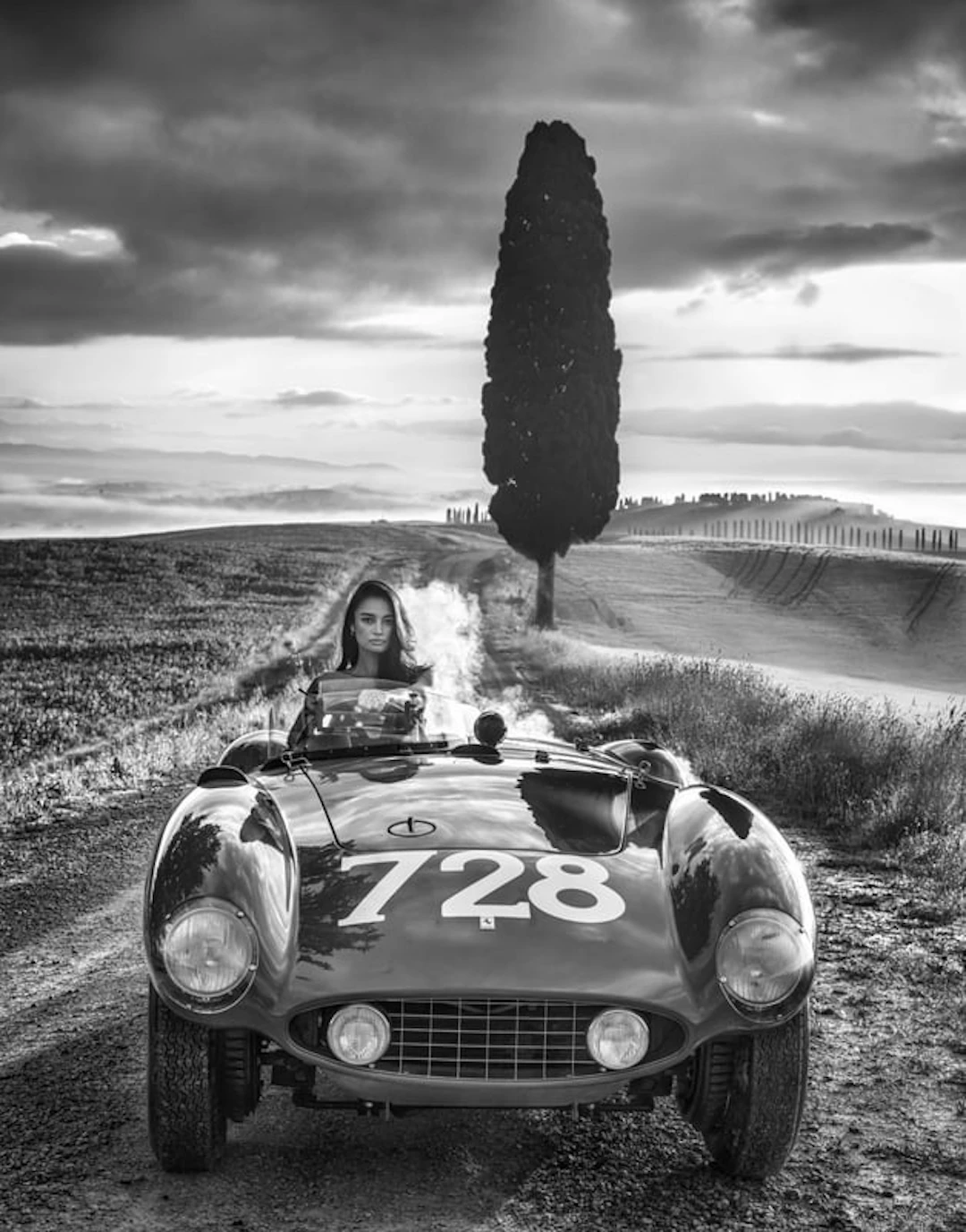 David Yarrow - Contemporary Photographer - Cypress Point (B&W)