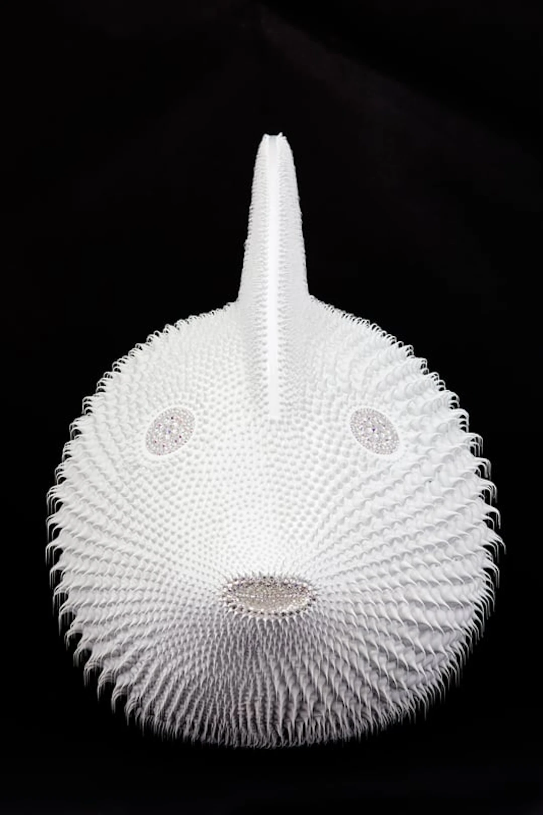 Eddy Maniez - Contemporary Sculptor - Poisson Lune Blanc, 2020 - (80 cm)