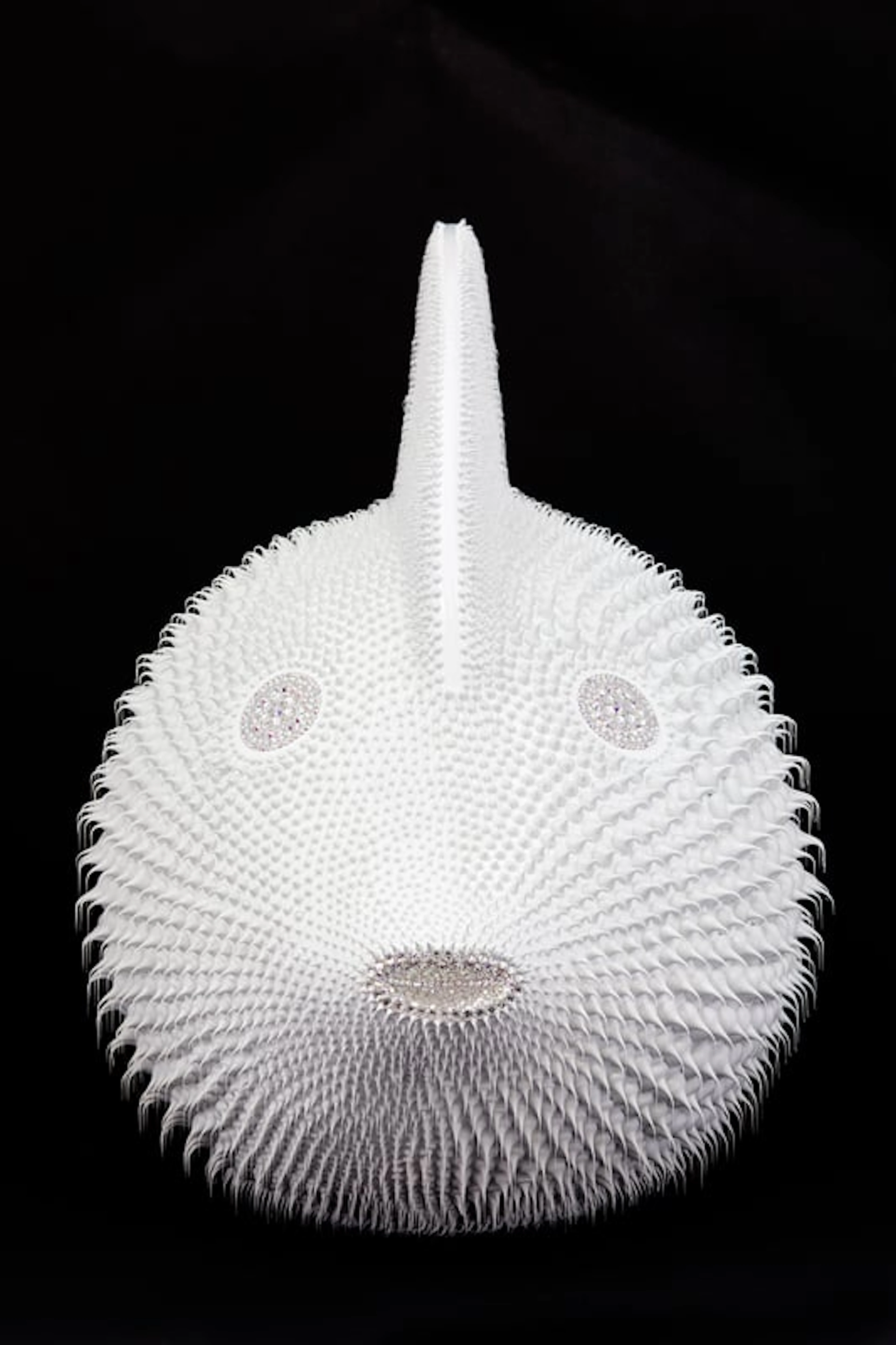 Eddy Maniez - Contemporary Sculptor - Poisson Lune Blanc, 2020 - (80 cm)