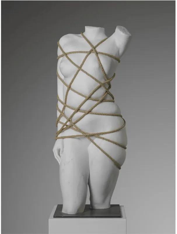 Filippo TINCOLINI - Venus Restricted