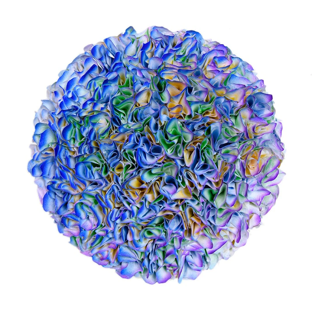 Hong Yi Zhuang - Optical Artist - B20-R20-057