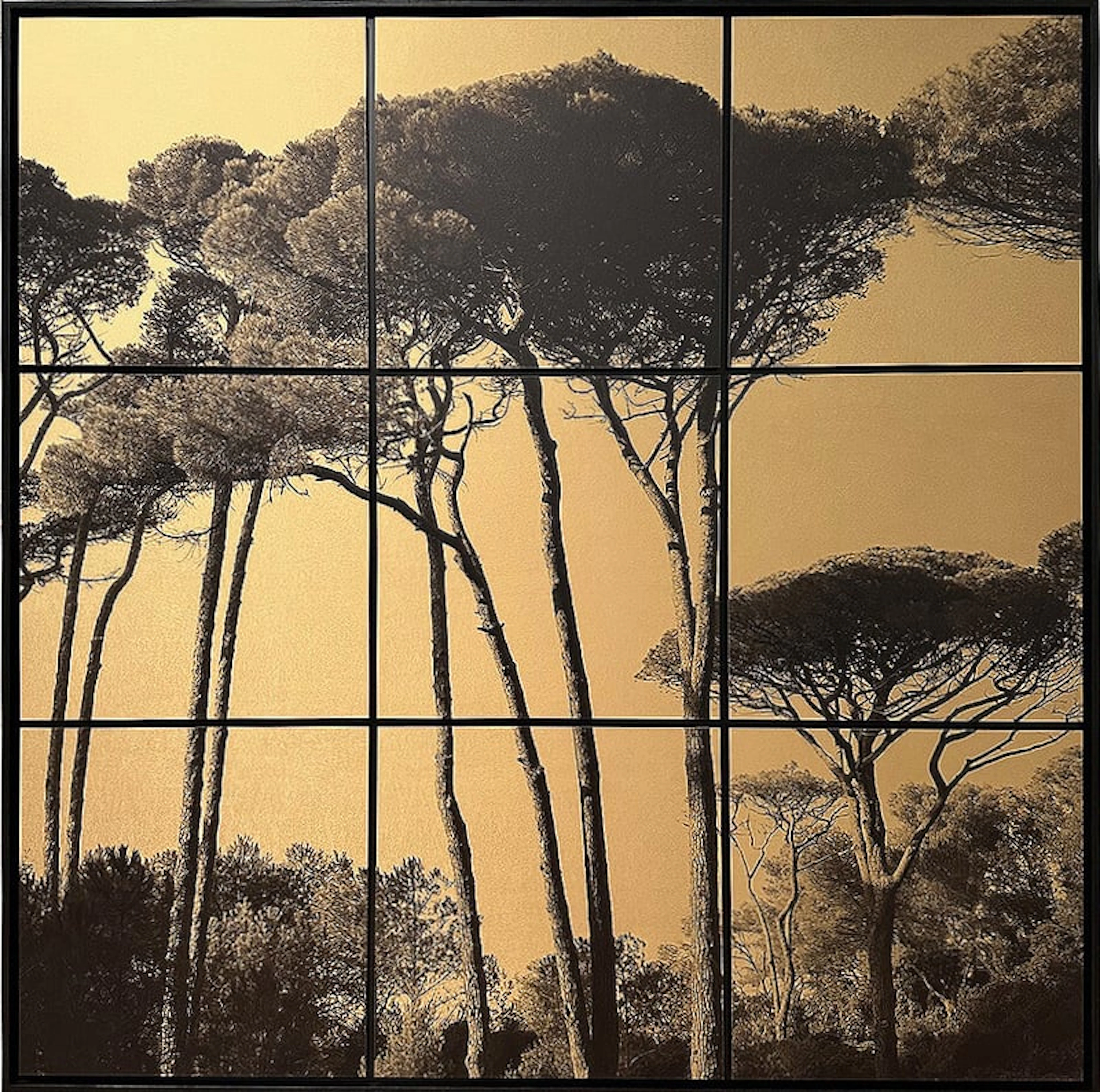 Anne Valverde - Contemporary Photographer - Mori de Sanpo ( Pins )