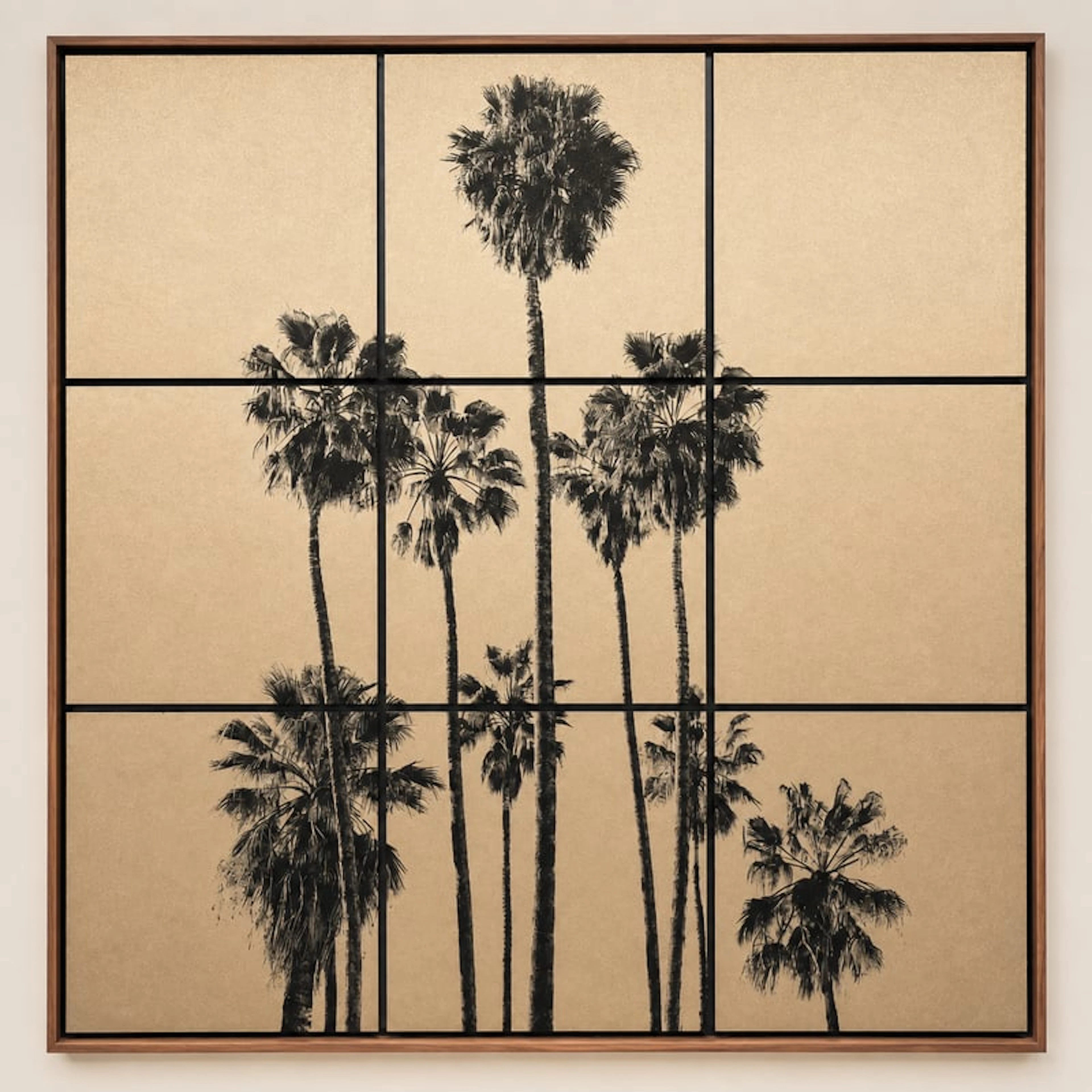Anne Valverde - Contemporary Photographer - California Dream ( Palmiers