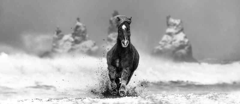 David Yarrow - Contemporary Photographer - My Perfect Storm (B&W)