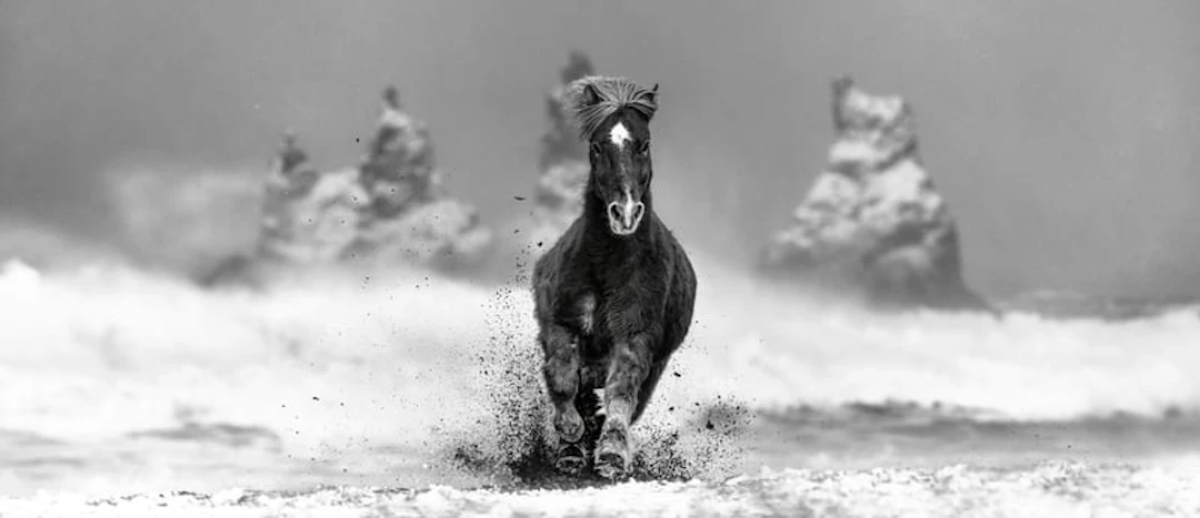 David Yarrow - Contemporary Photographer - My Perfect Storm (B&W)