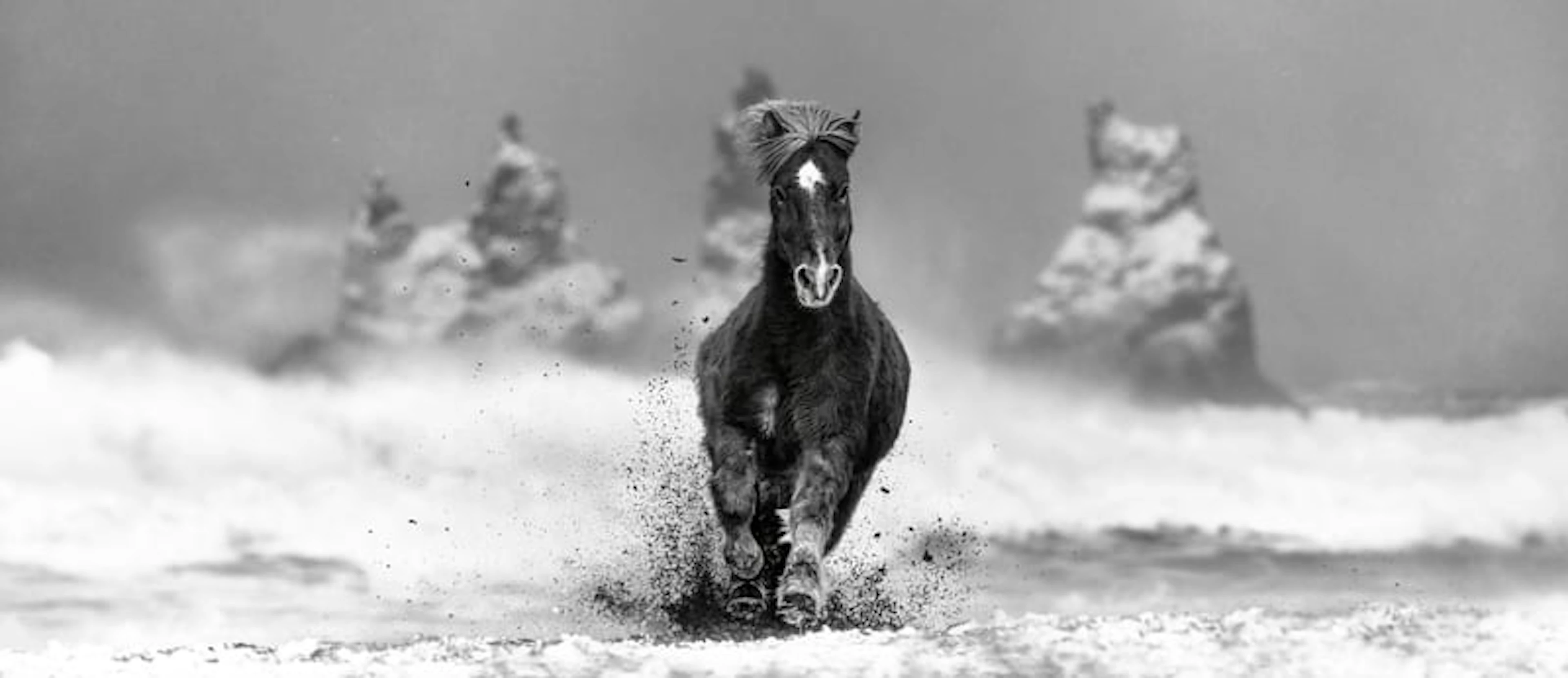 David Yarrow - Contemporary Photographer - My Perfect Storm (B&W)
