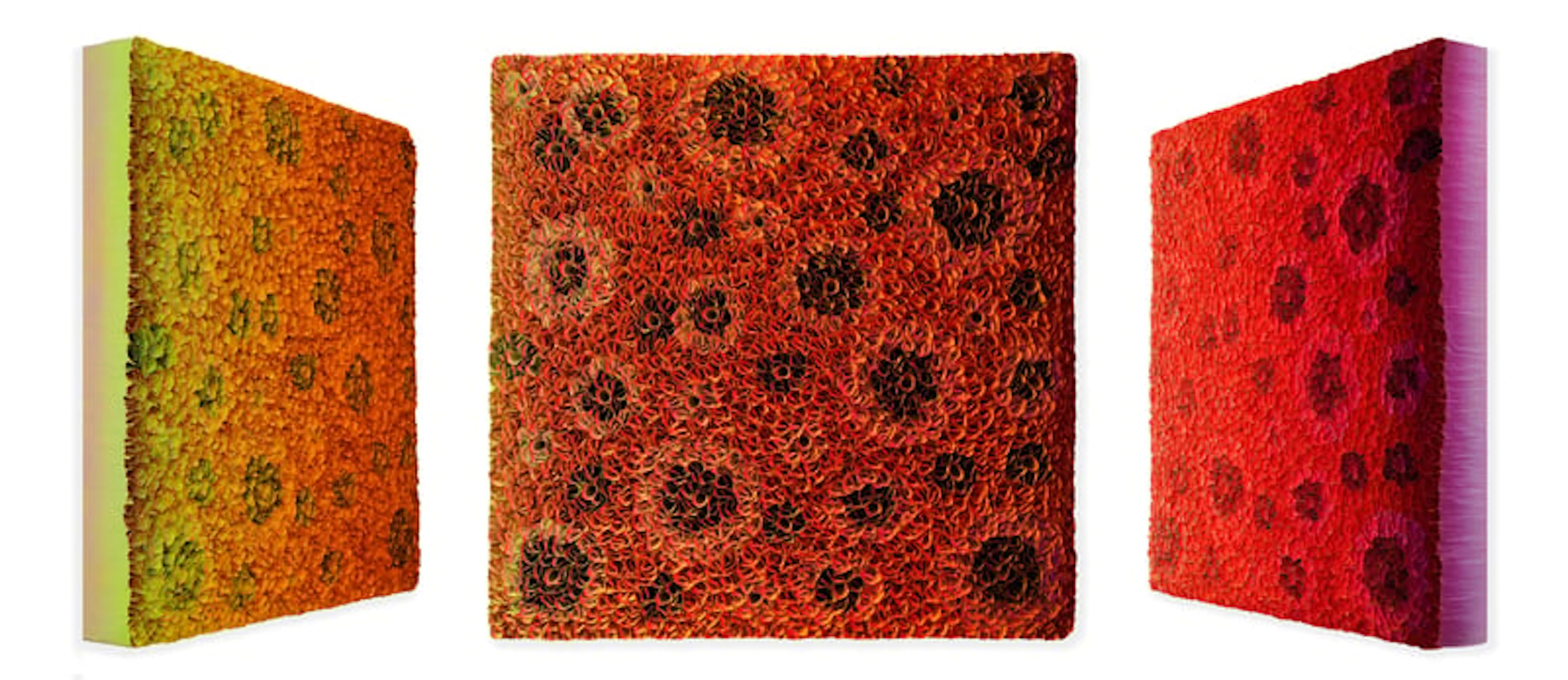 Hong Yi Zhuang - Optical Artist - ZHY-B72478