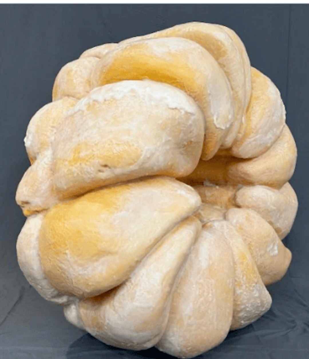 Peter Anton - Hyperrealist Sculptor and Artist - French Cruller Donut