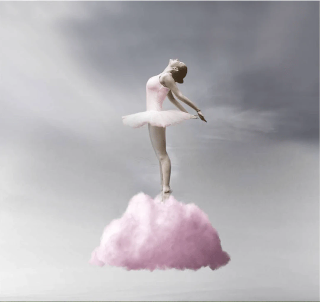 Slasky - Contemporary Artist - BALLERINA PINK