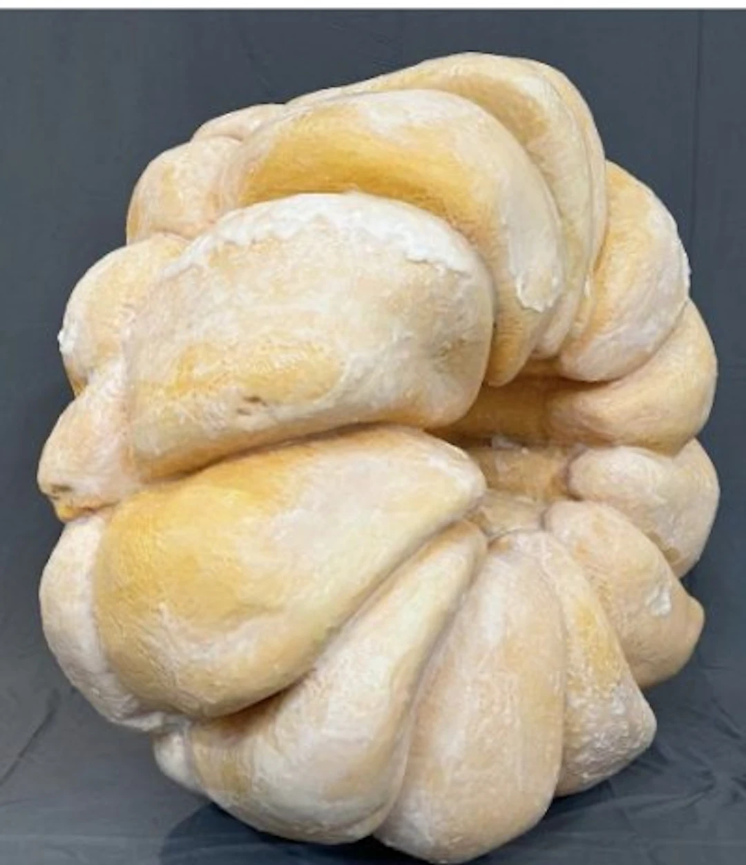 Peter Anton - Hyperrealist Sculptor and Artist - French Cruller Donut