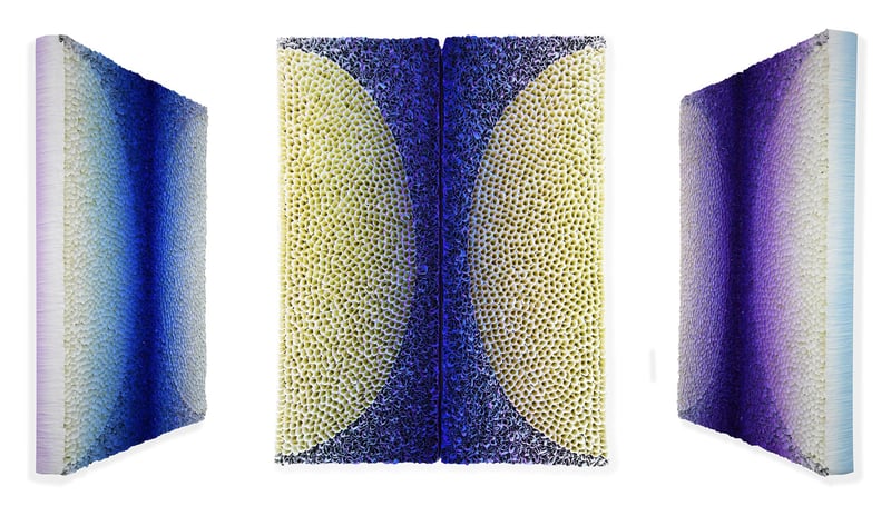 Hong Yi Zhuang - Optical Artist - Diptych B20-C024