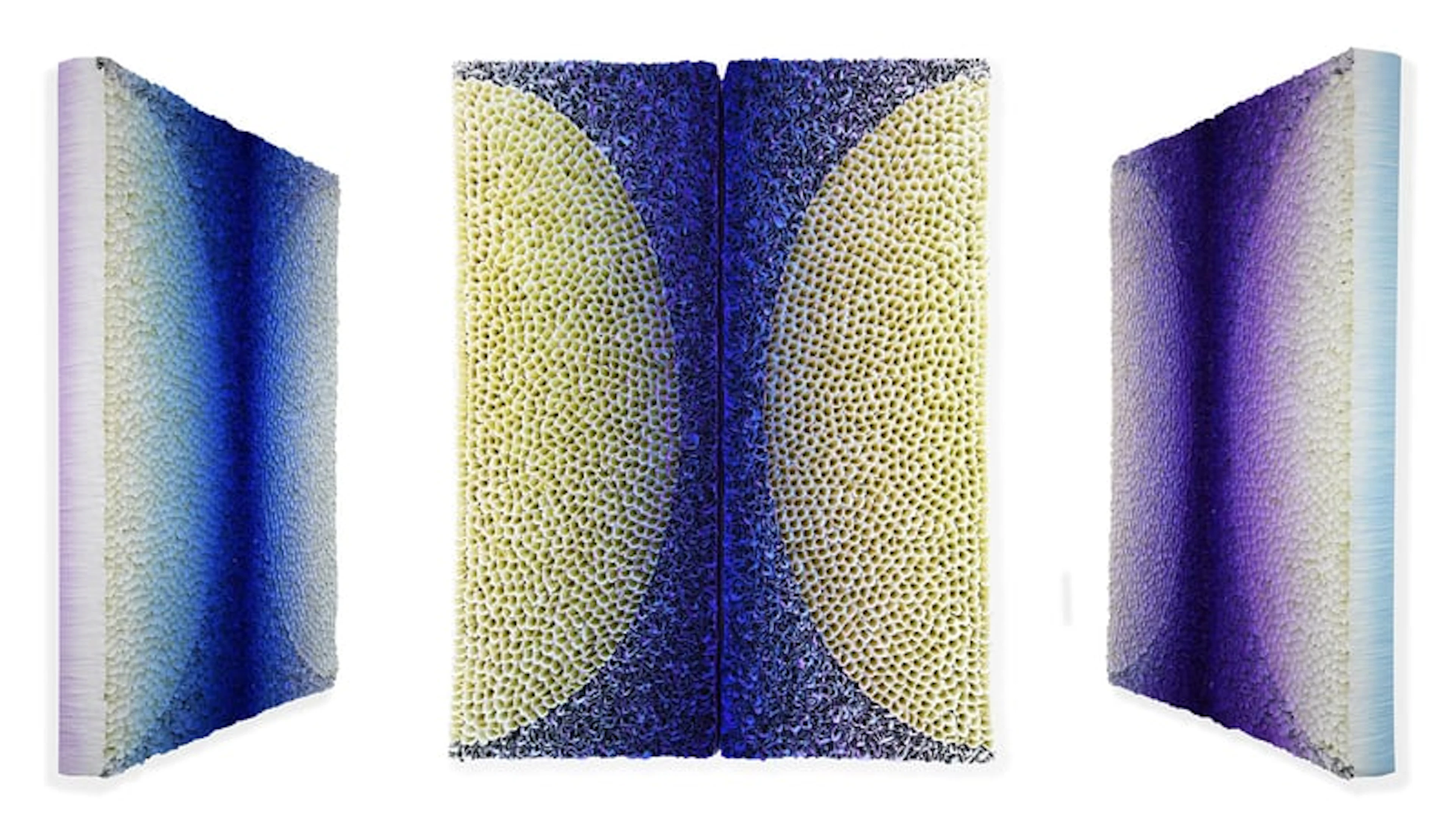 Hong Yi Zhuang - Optical Artist - Diptych B20-C024