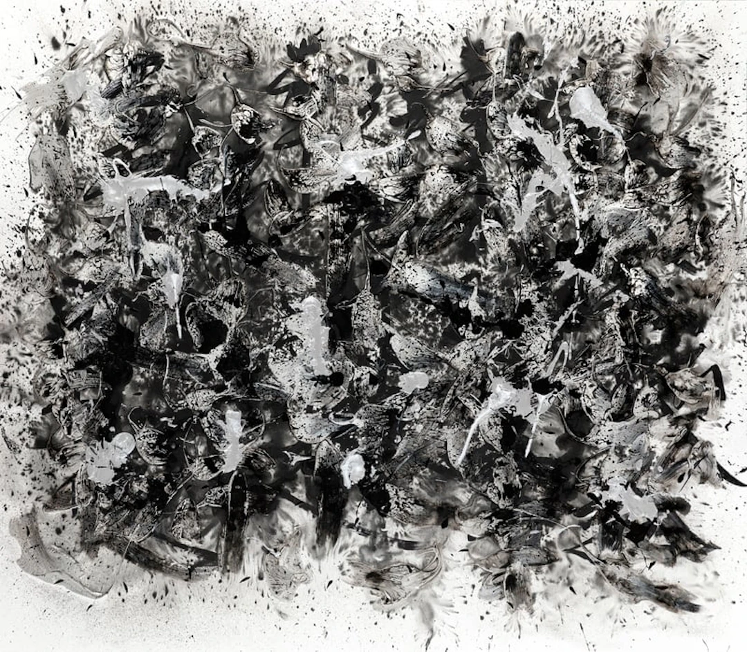 Danhôo - Contemporary Artist - Les racines du monde, 2019