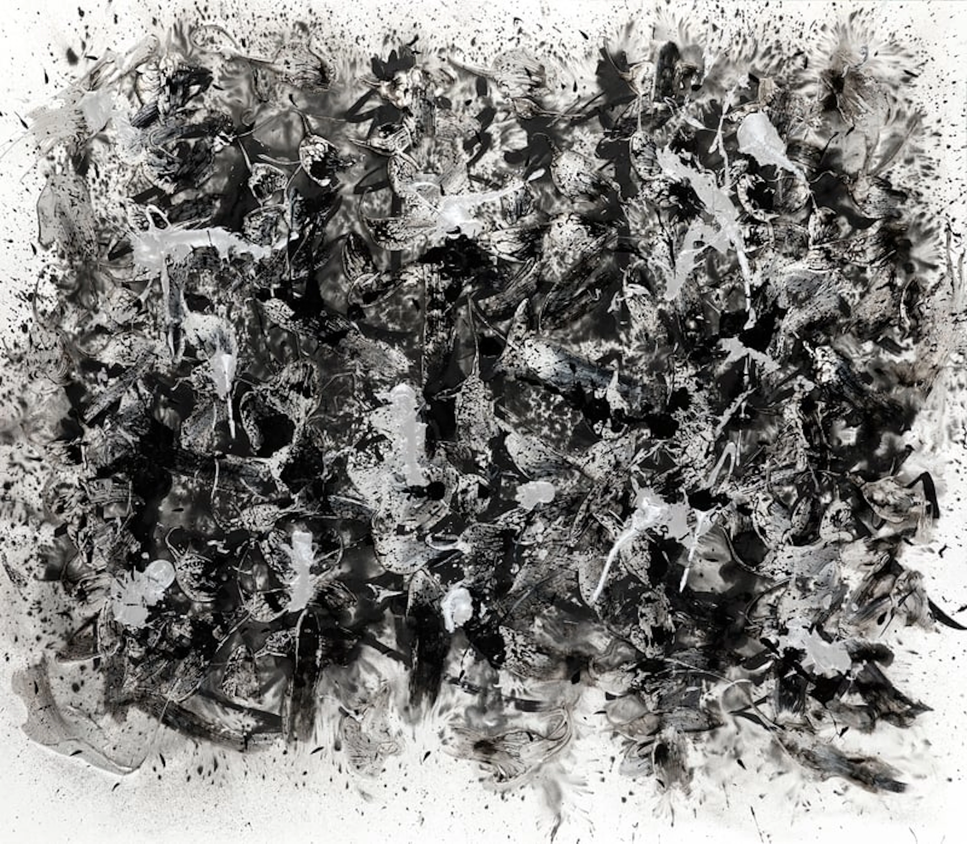 Danhôo - Contemporary Artist - Les racines du monde, 2019