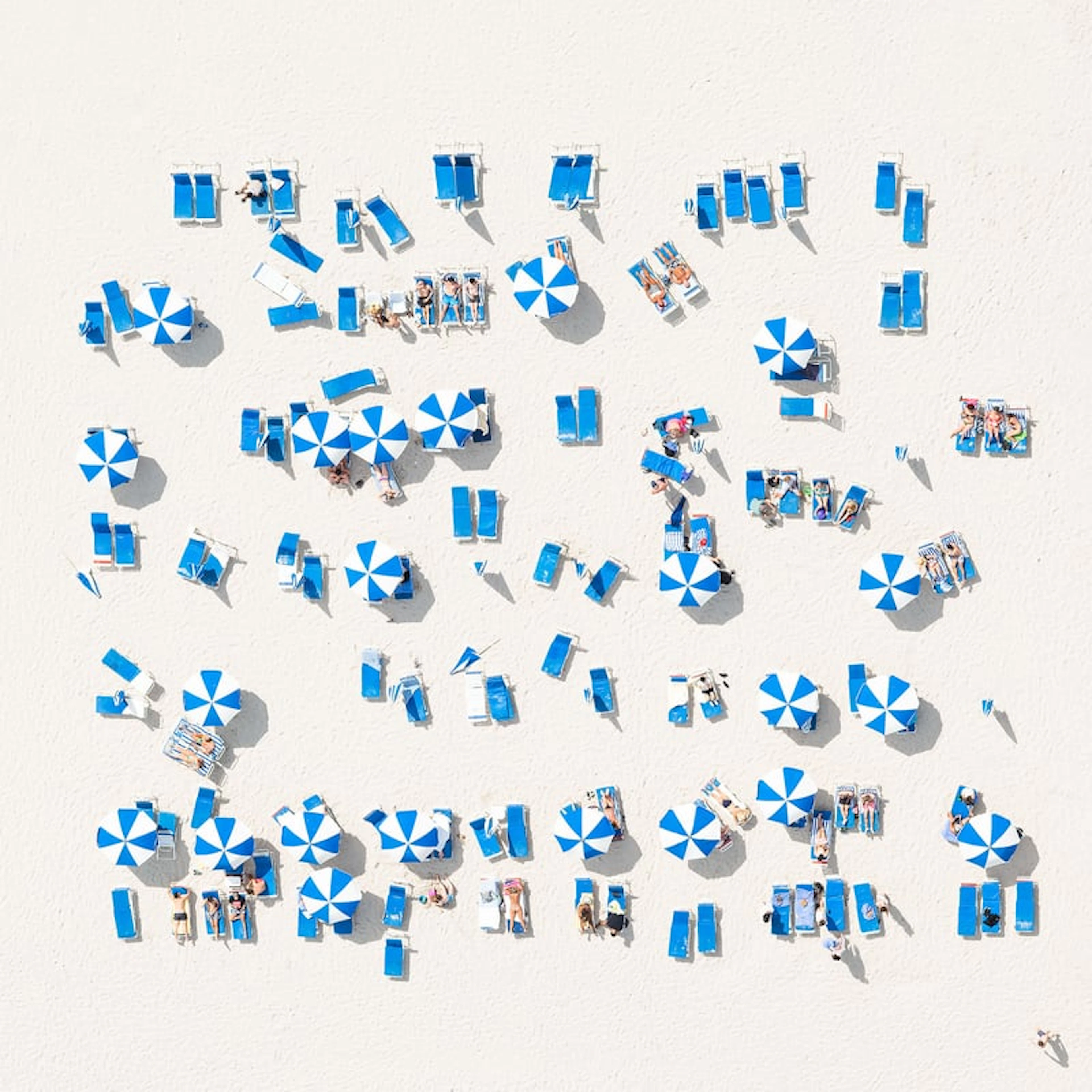 Antoine Rose - Contemporary Photographer - Followers