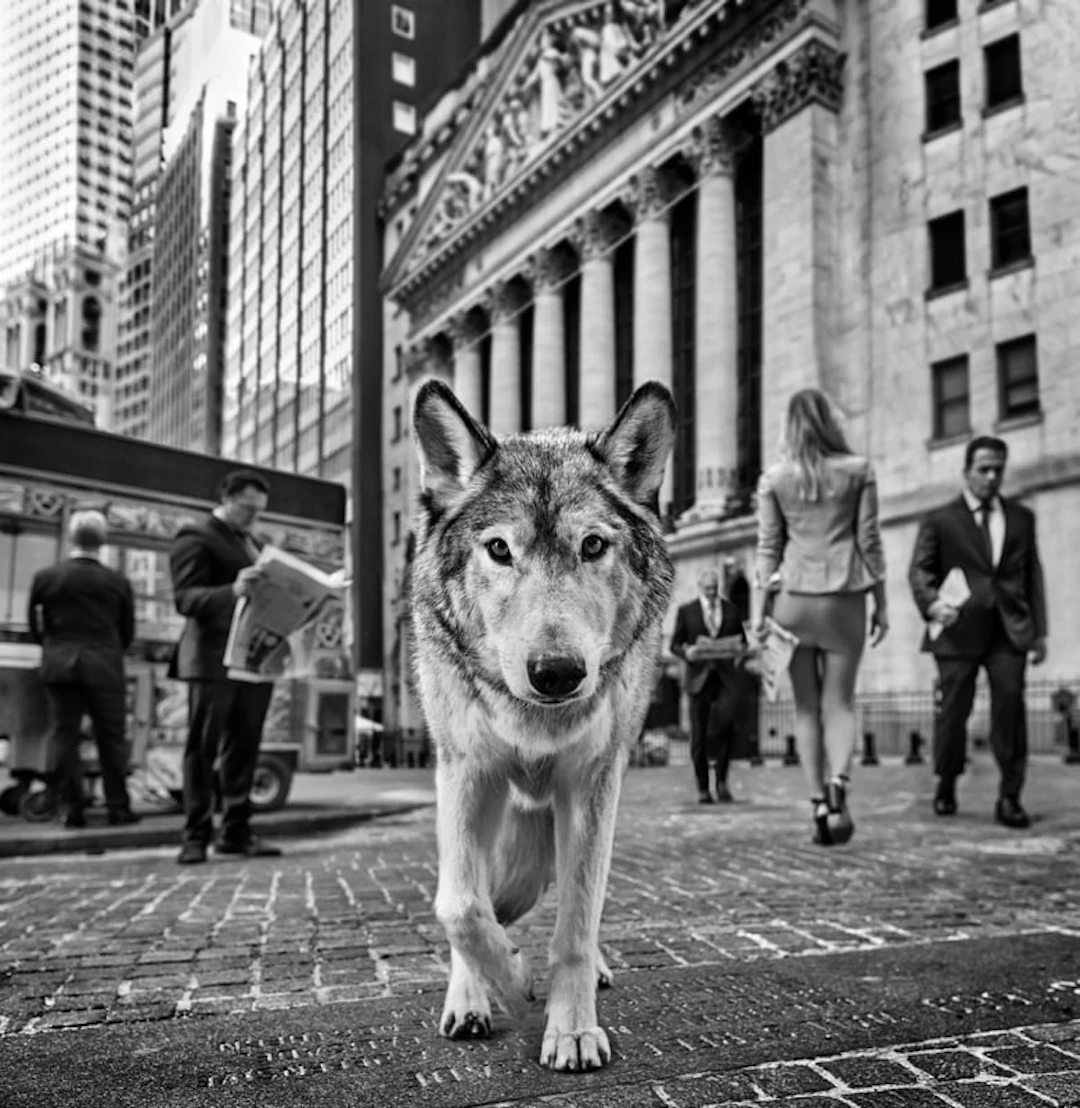David Yarrow - Contemporary Photographer - Once Upon A Time on Wall