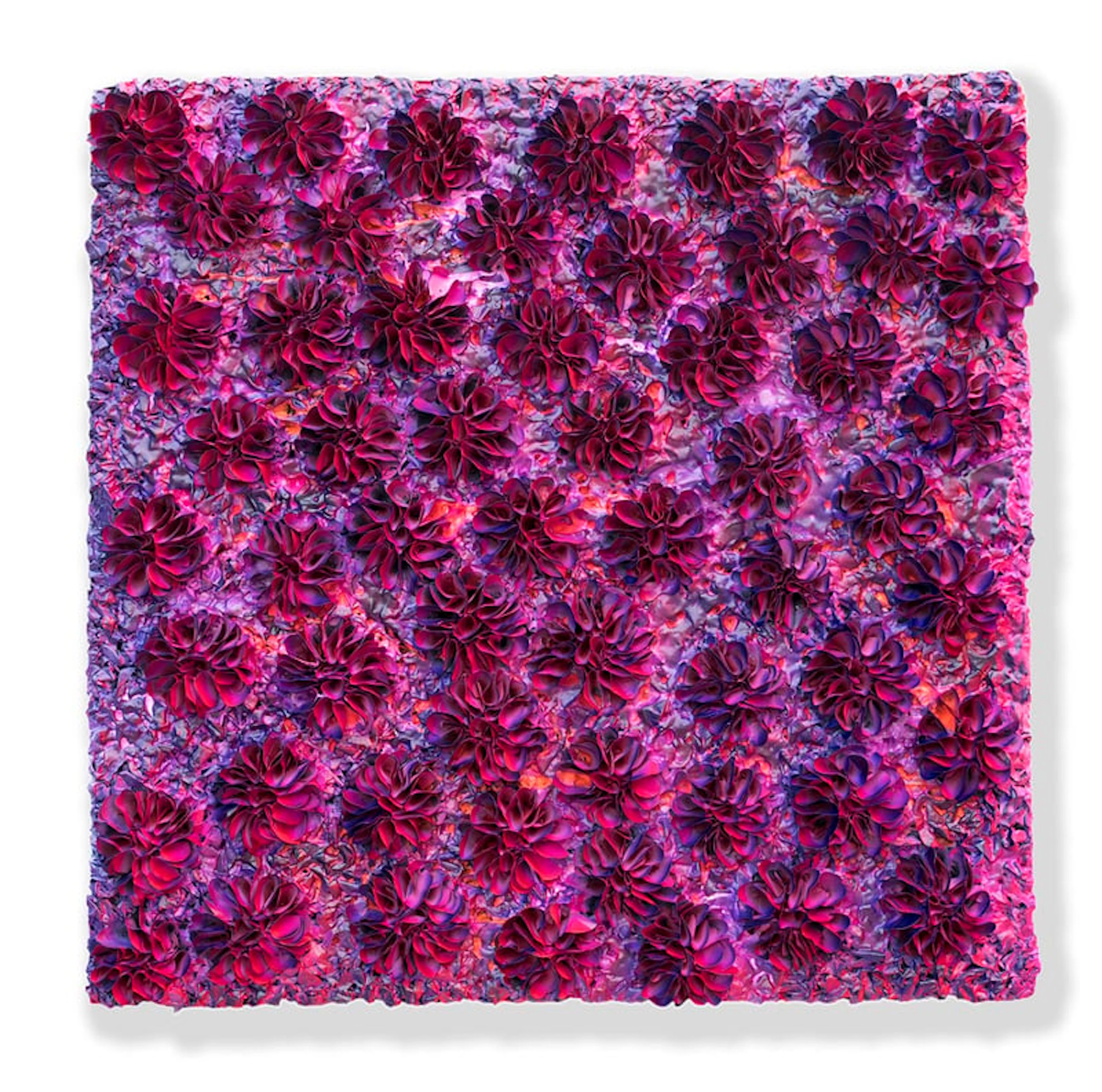 Hong Yi Zhuang - Optical Artist - B19-C051