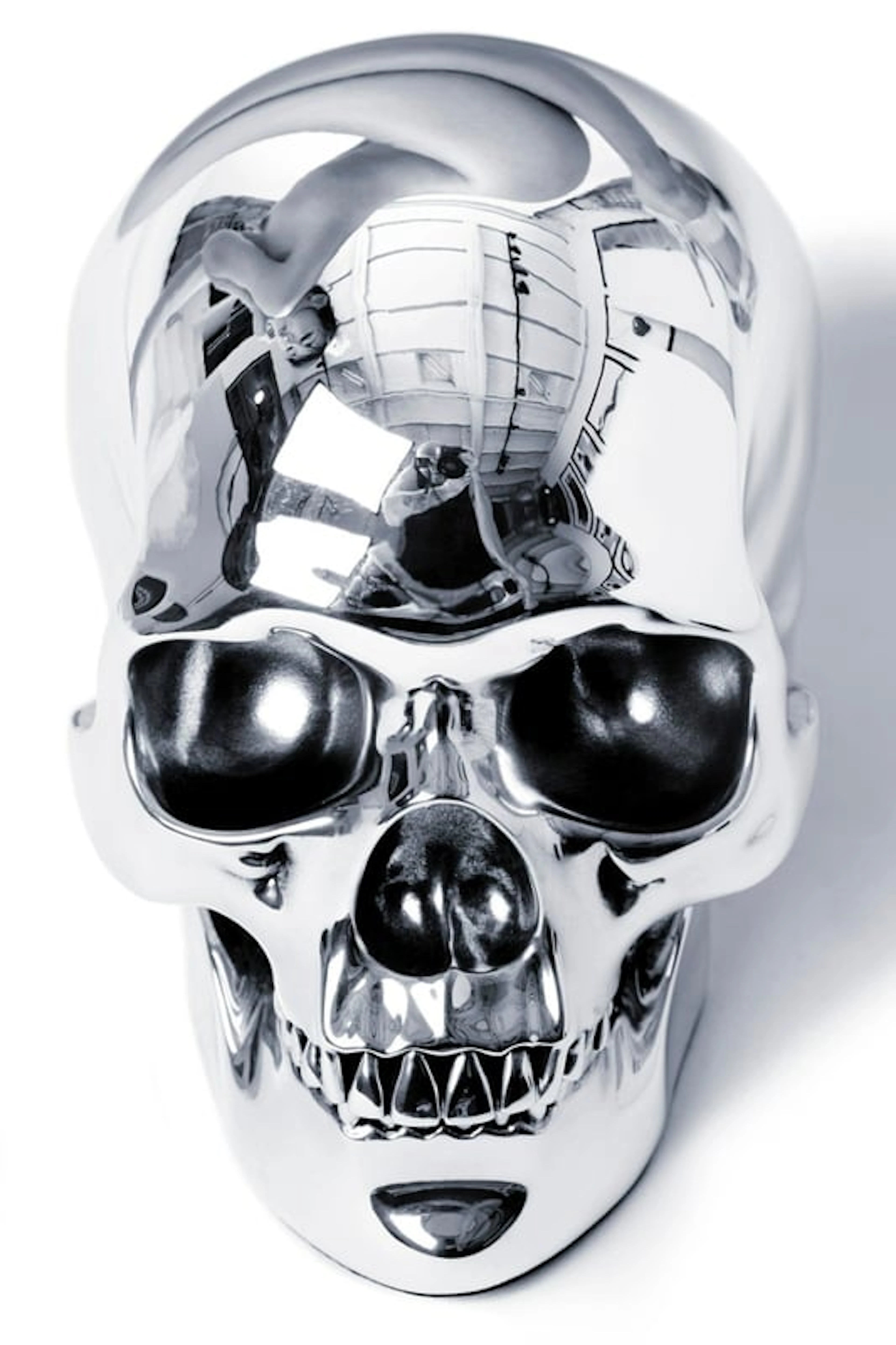 Hervé Lewis - Contemporary Photographer - Silver skull 1