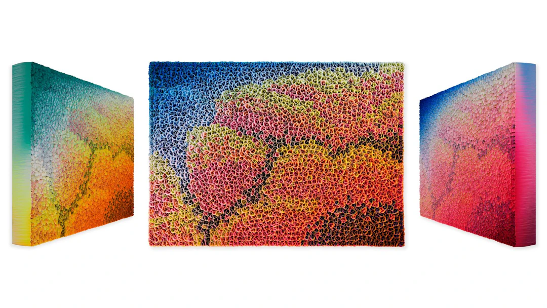 Hong Yi Zhuang - Optical Artist - ZHY-S02653